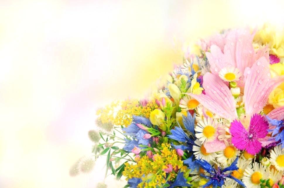 Pretty Flowers Wallpaper Pretty Flowers Wallpaper Beautiful - Женщина Поздравления С Днем Рождения - HD Wallpaper 