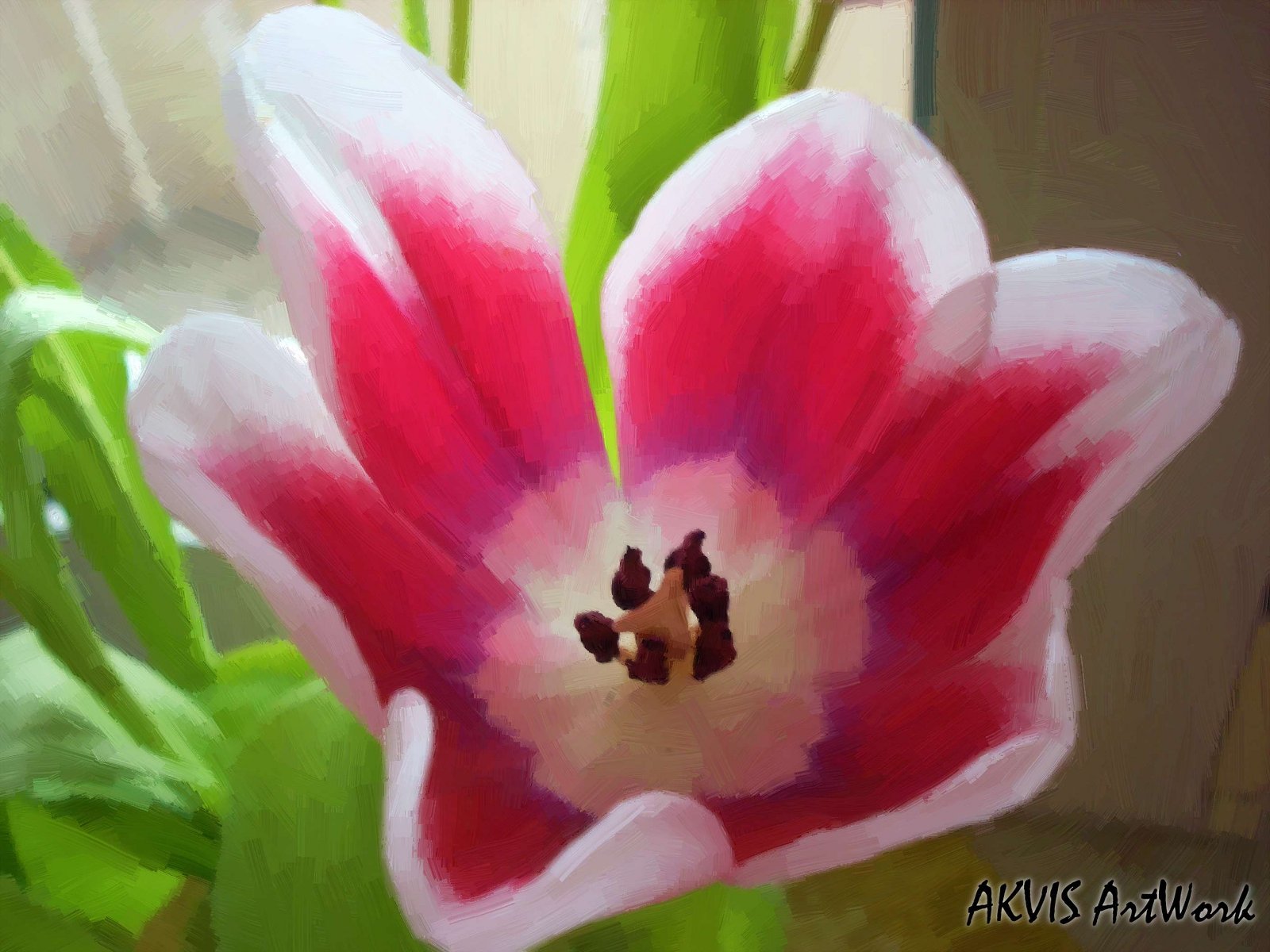 Beautiful Flowers - HD Wallpaper 