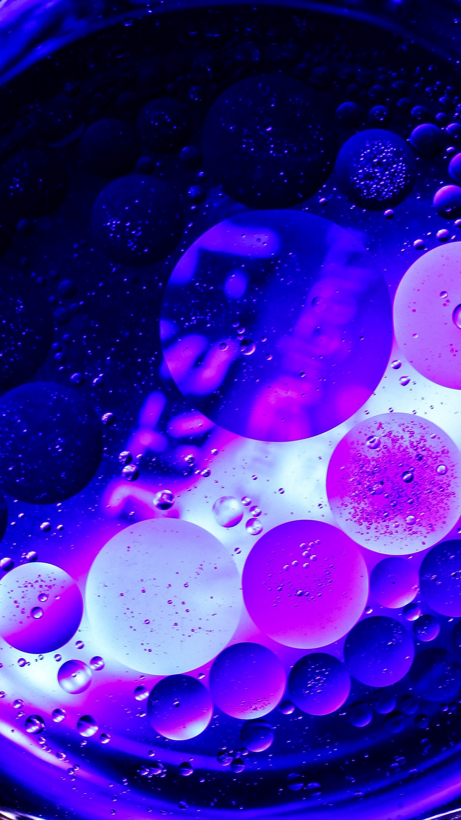Wallpaper Circles, Bubbles, Purple, Macro - Purple Bubble Iphone Wallpaper Hd - HD Wallpaper 