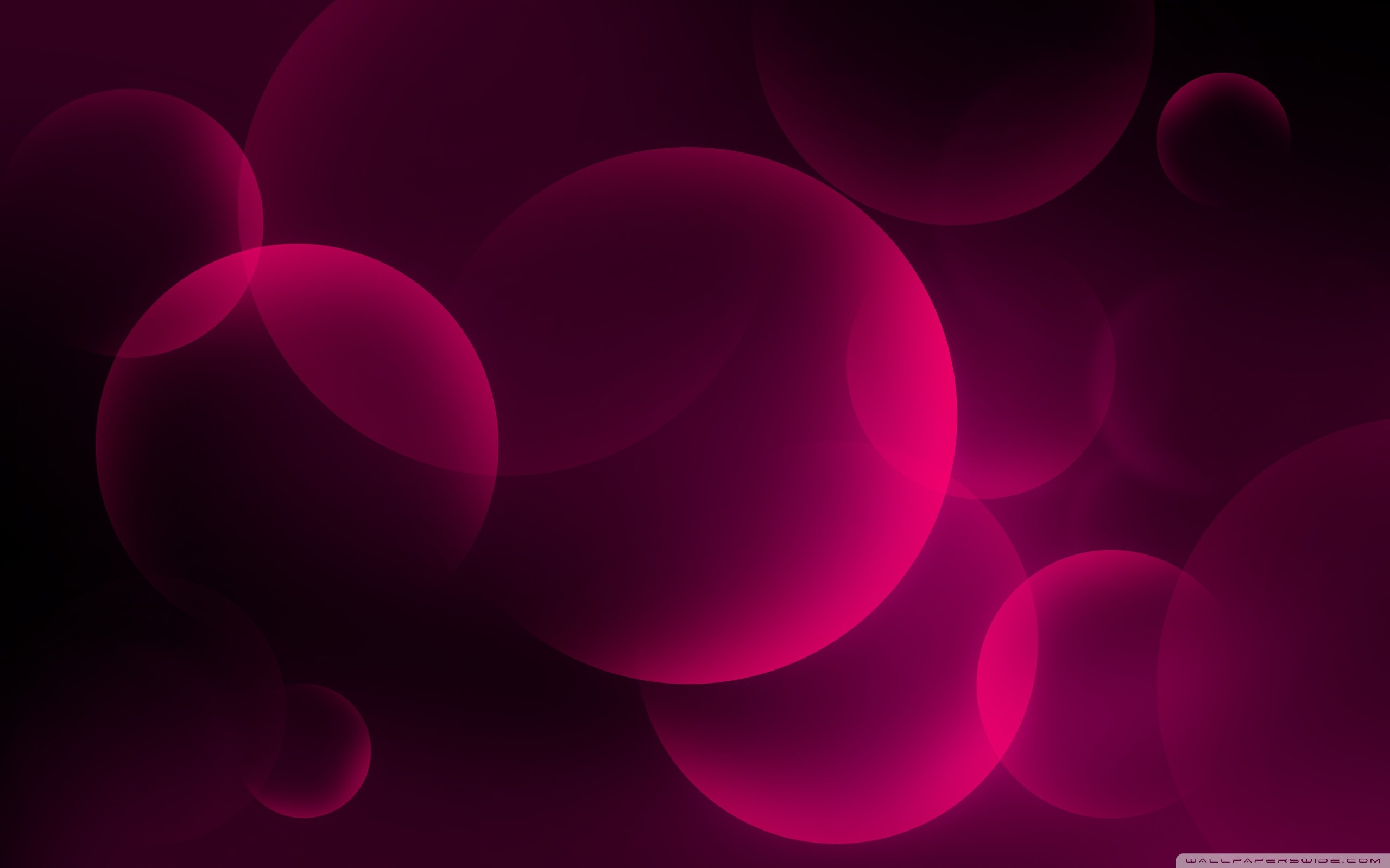 Pink Bubble Wallpaper - Pink And Black Bubbles - 2560x1600 Wallpaper -  