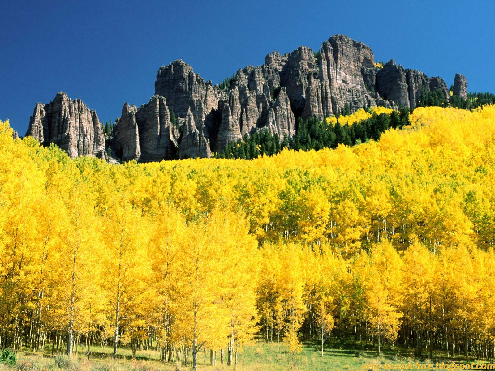Aspen Colorado - HD Wallpaper 