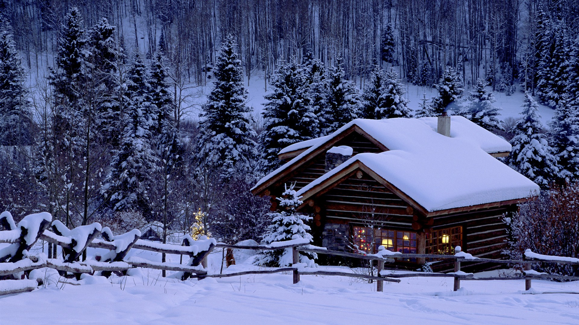 Home2 - Winter Scene - HD Wallpaper 