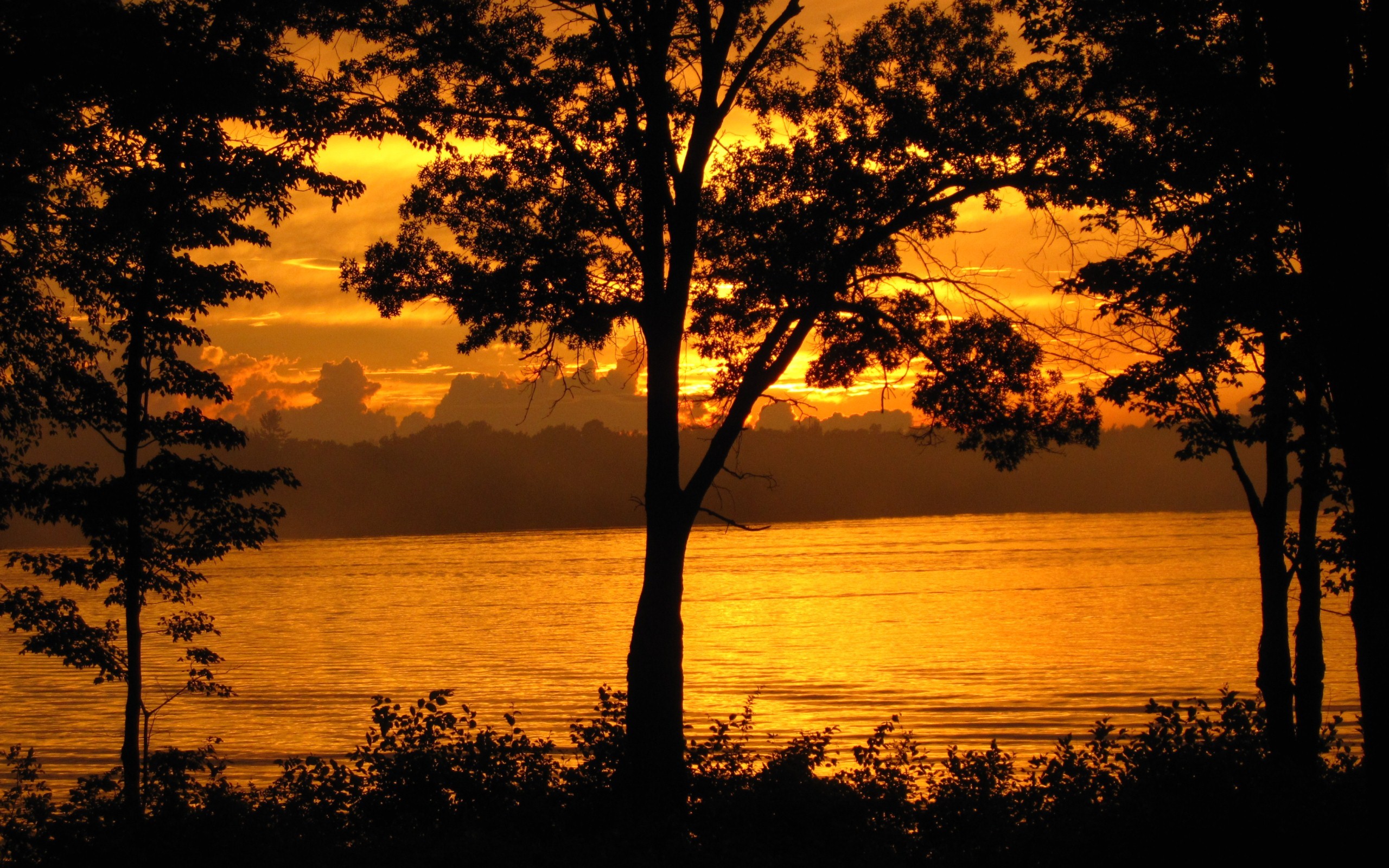 Nature Look During Sunset Night - Nature Pictures Real Night - HD Wallpaper 