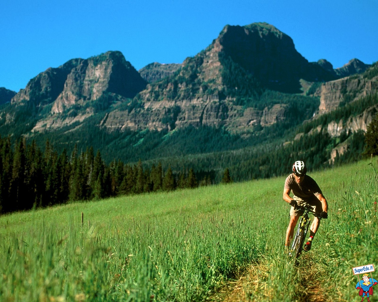 Mountain Bike - Bozeman In The Summer - HD Wallpaper 
