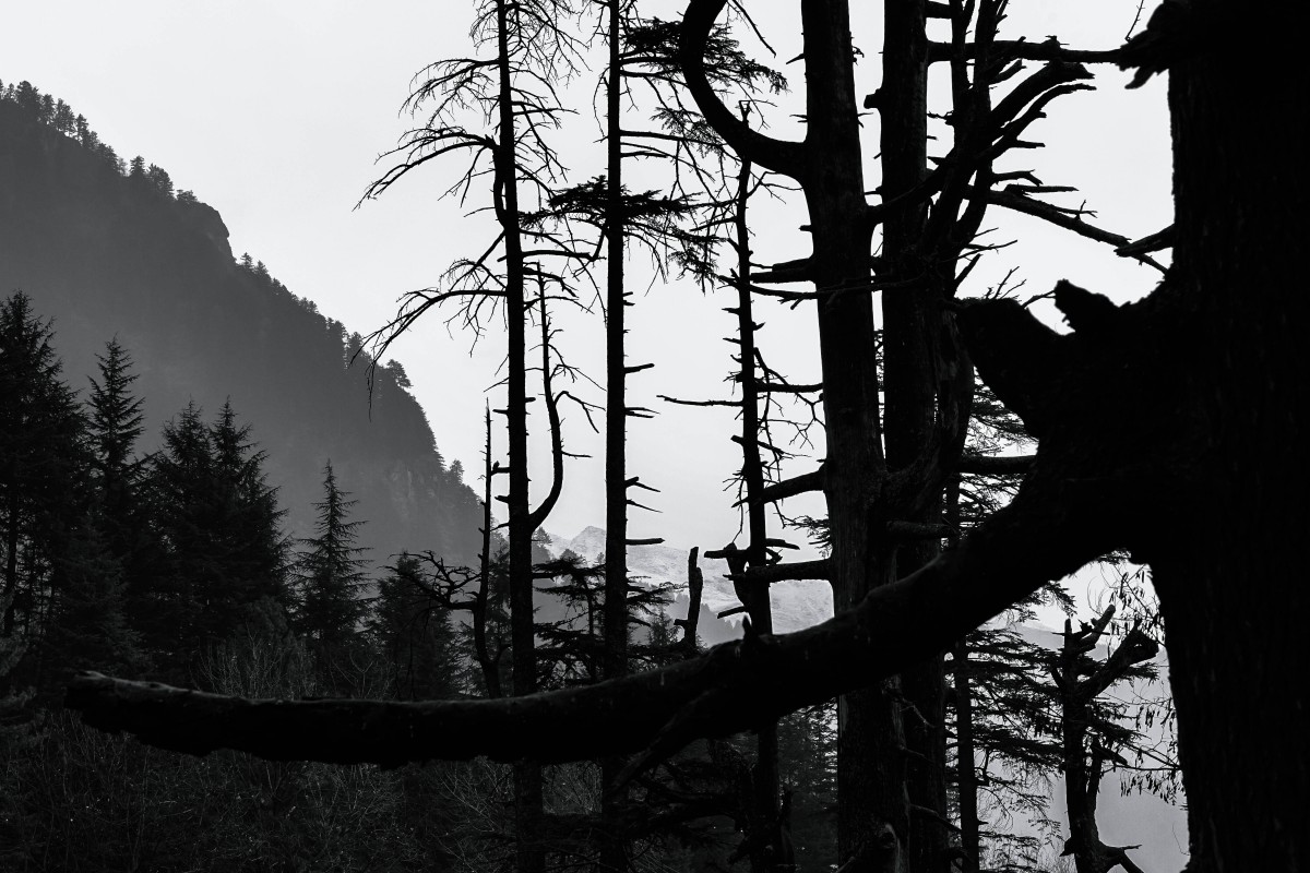 Photography - HD Wallpaper 