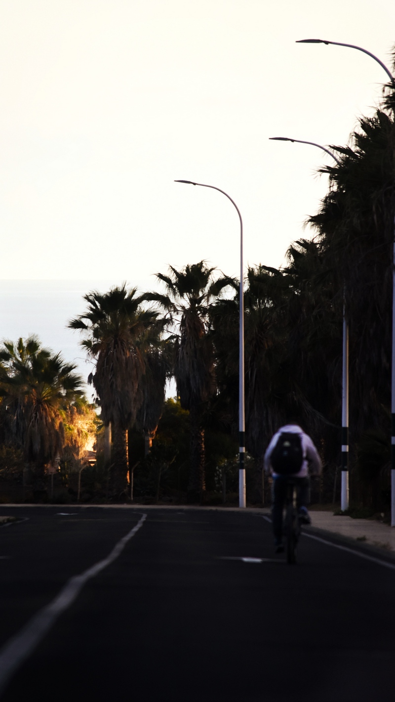 Wallpaper Road, Cyclist, Palm Trees, Asphalt, Turn - Wallpaper - HD Wallpaper 