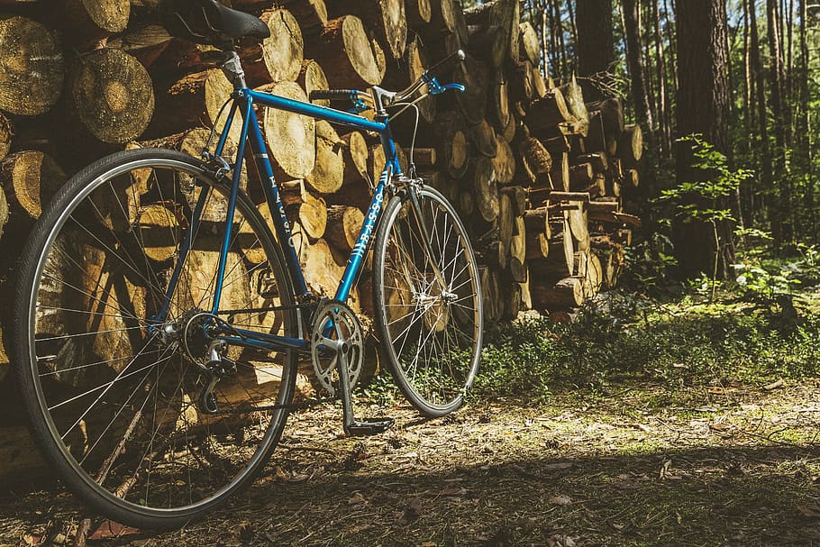 Road Bike, Vintage, Retro, Urban, Trend, Wheel, Old, - Bike Stock Photo Trees - HD Wallpaper 