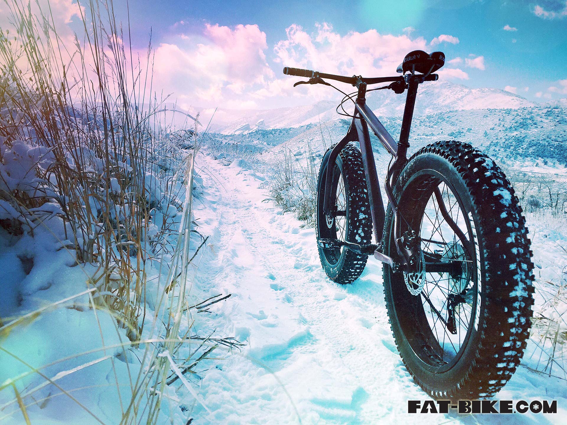 Fat Bike - HD Wallpaper 