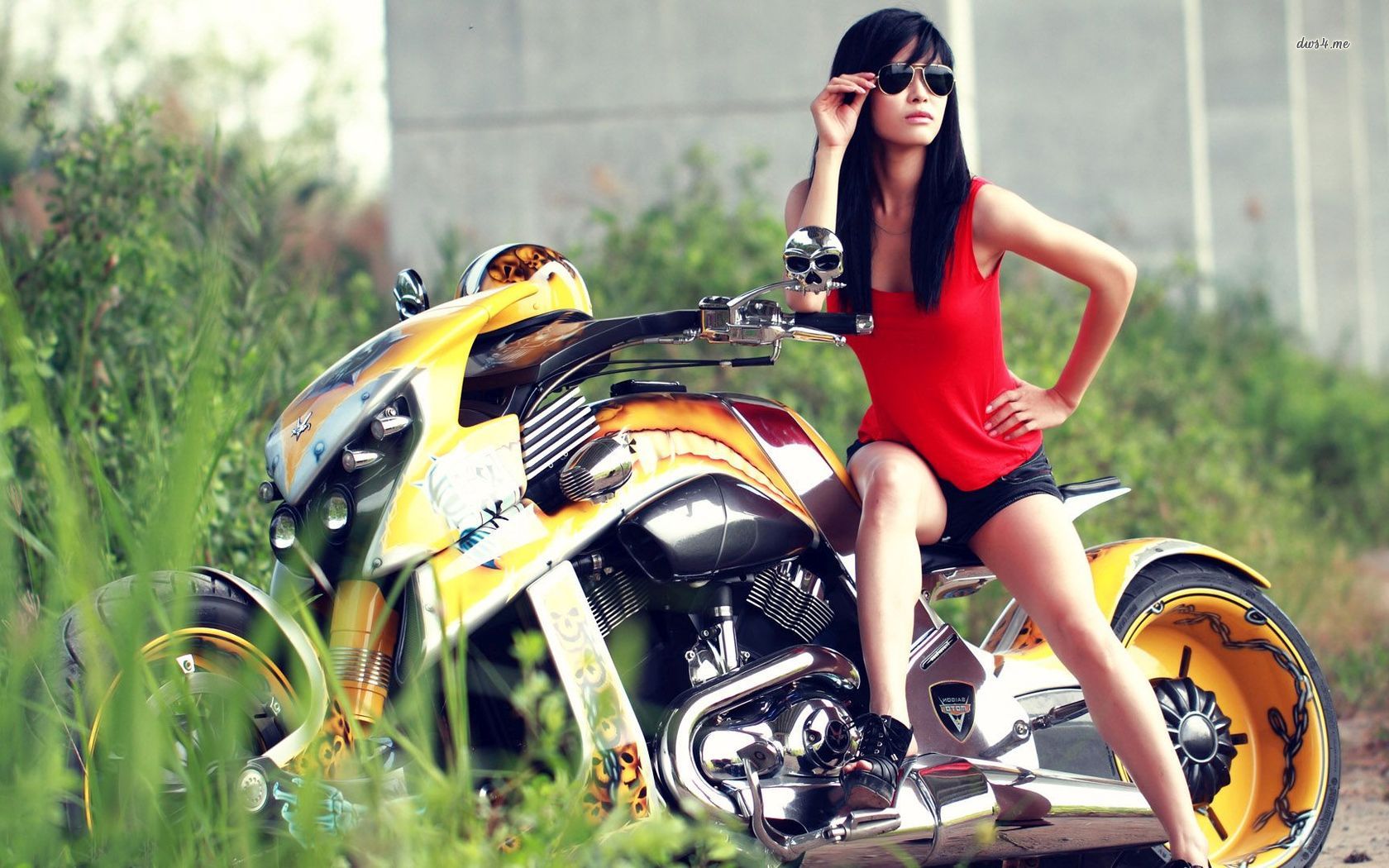 Wallpaper - HD Wallpaper 