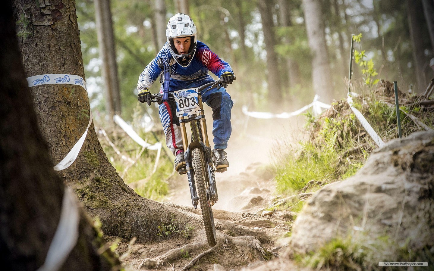 Free Sport Wallpaper - Downhill Tapety Na Telefon - HD Wallpaper 