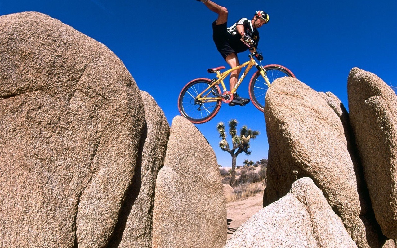 Mountain Bike Wallpaper - Extreme Sports - HD Wallpaper 