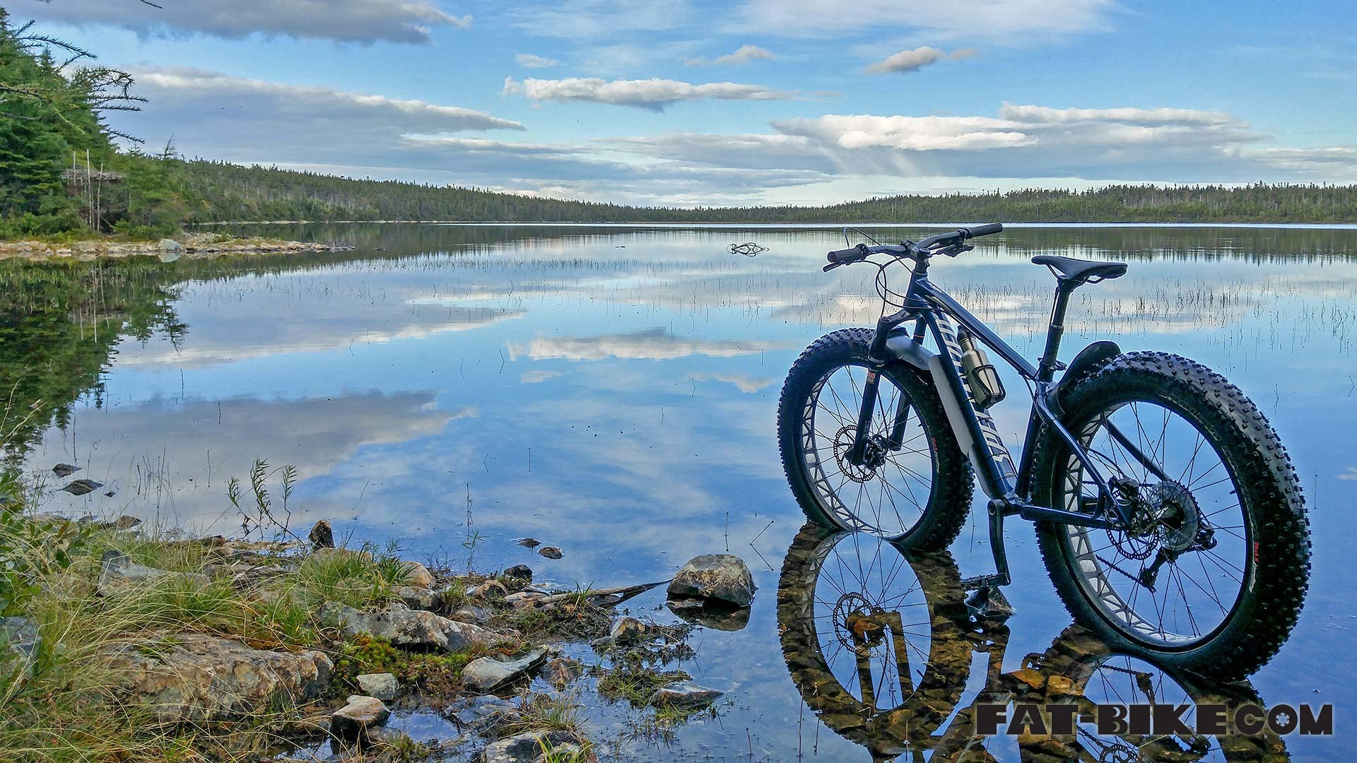 Newfoundland Fat Bike Wallpaper 1920 1080 
 Data Src - Fat Bike Wallpaper Hd - HD Wallpaper 