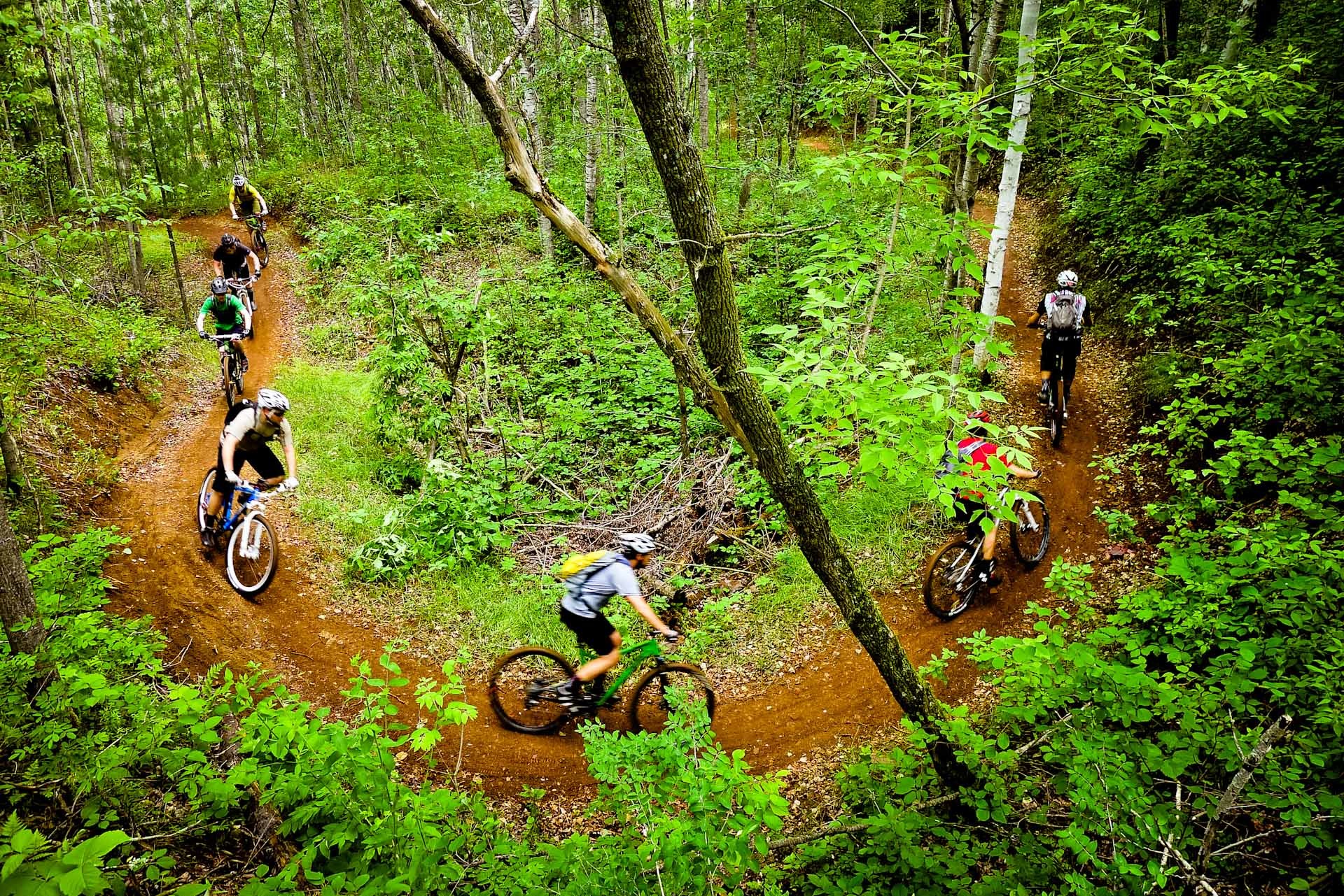 1920x1281, Mountain Bike Trail Wallpaper High Quality - Hd Mountain Bike Xc - HD Wallpaper 