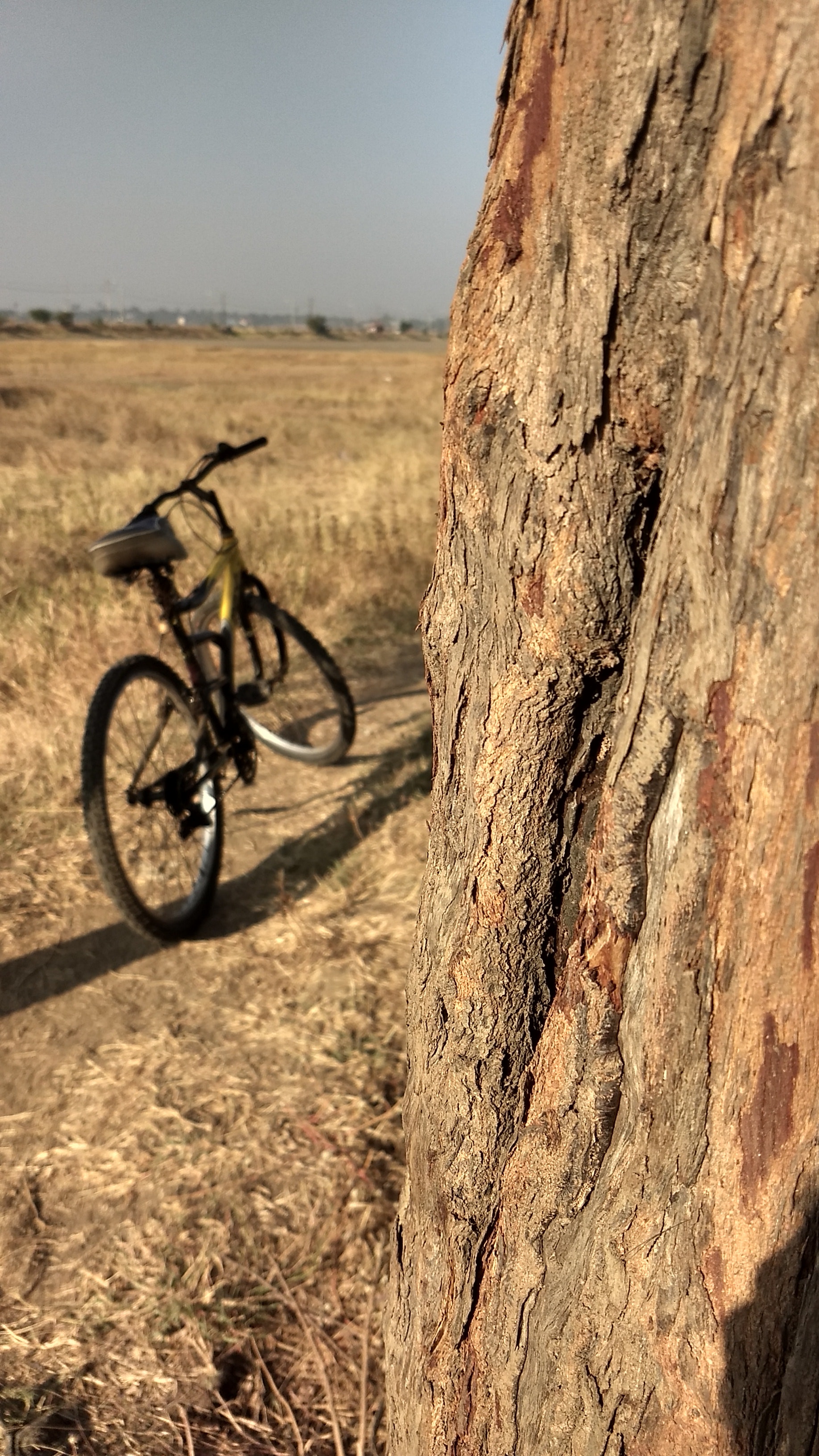 Mountain Bike - HD Wallpaper 