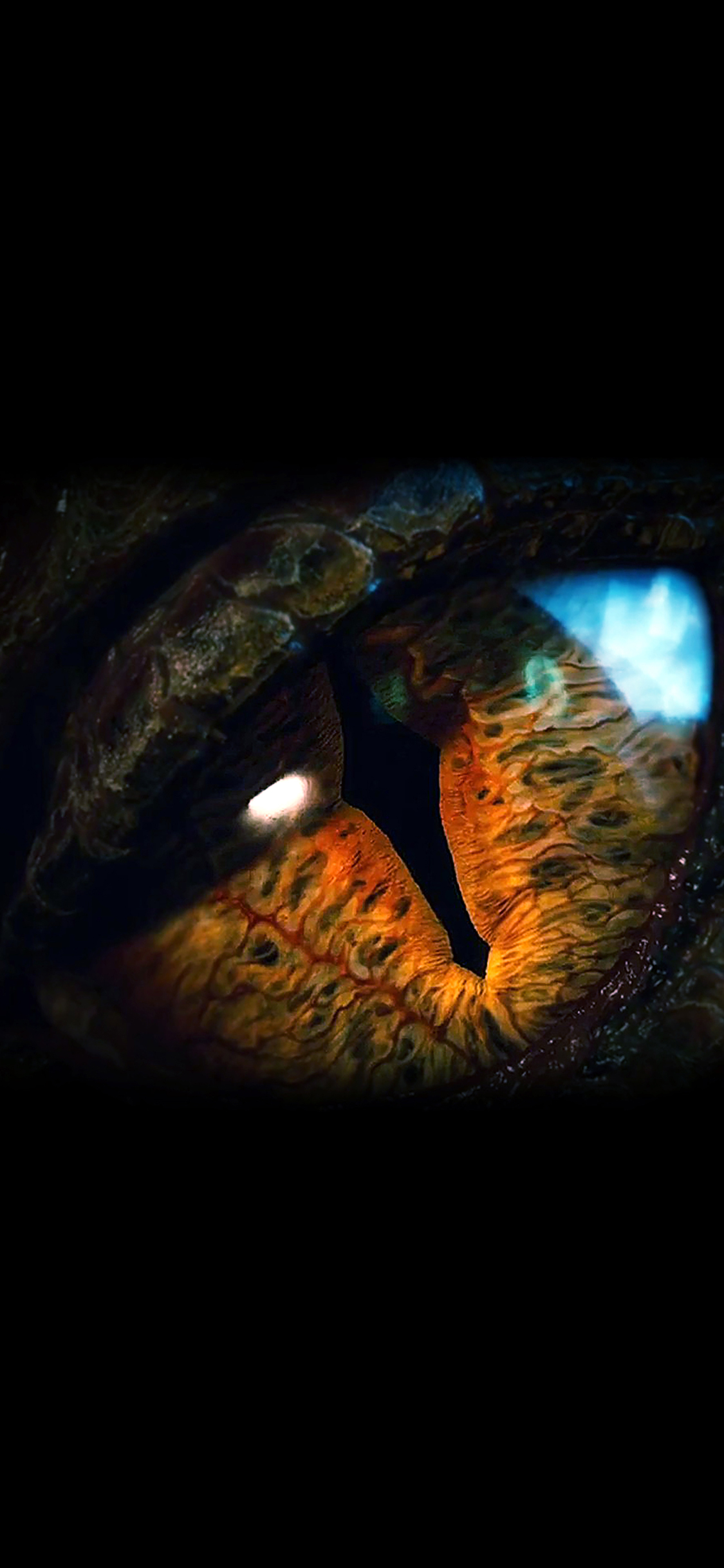 Com Apple Iphone Wallpaper Ah33 Eye Dragon Film Hobbit - Dragon Wallpaper Iphone X - HD Wallpaper 