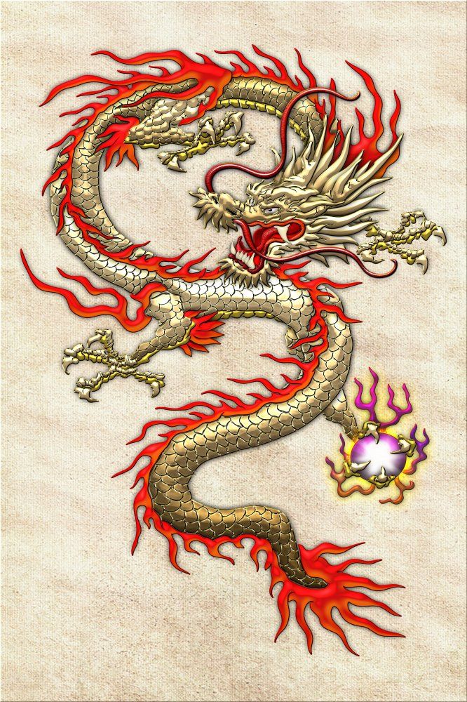 Chinese Dragon - HD Wallpaper 