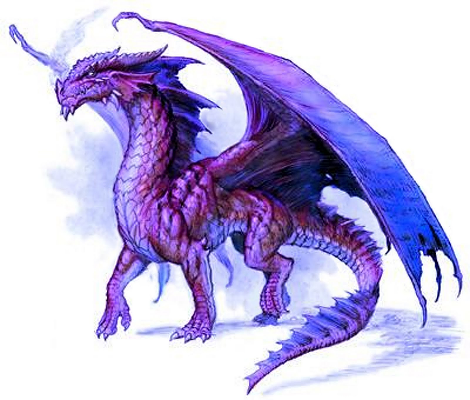 Purple Dragon,fantasy, Epic, Animal, Myth, How To Train - Purple Dragon Png - HD Wallpaper 