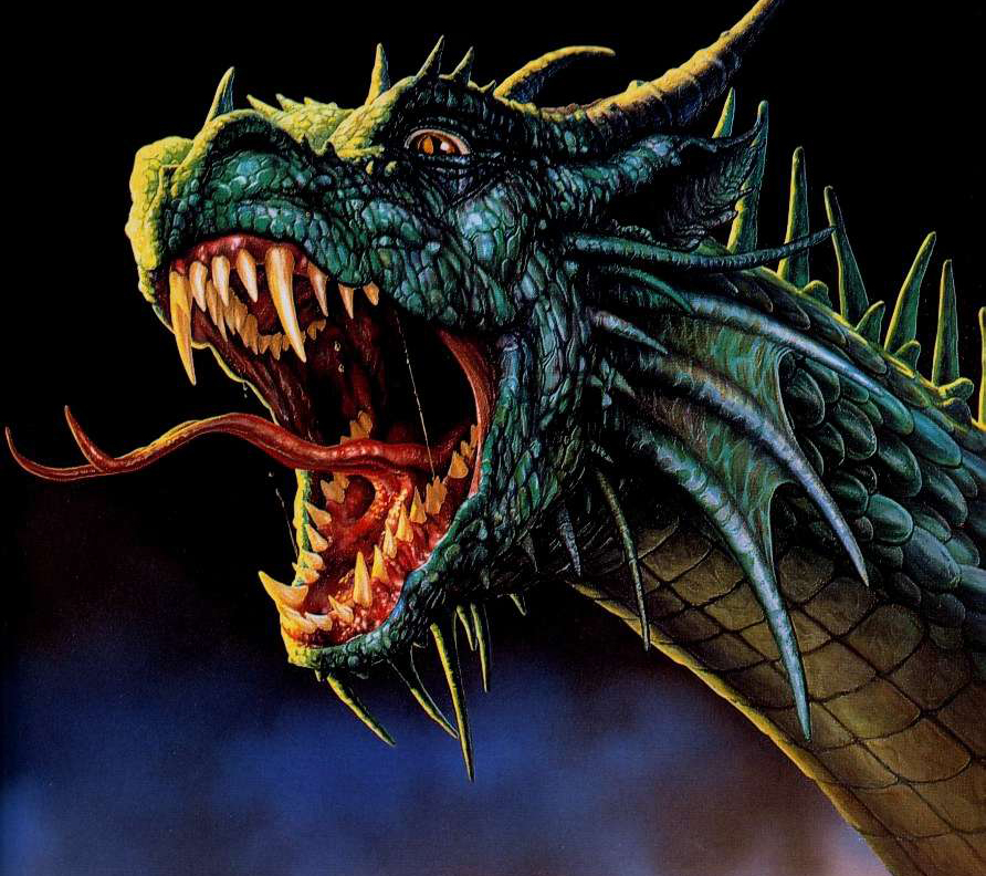 Dragon - HD Wallpaper 