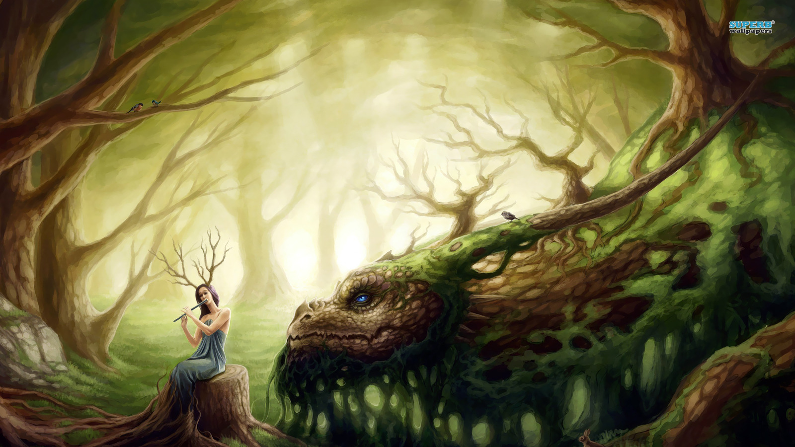 Nature - Fantasy Forest Creatures - HD Wallpaper 