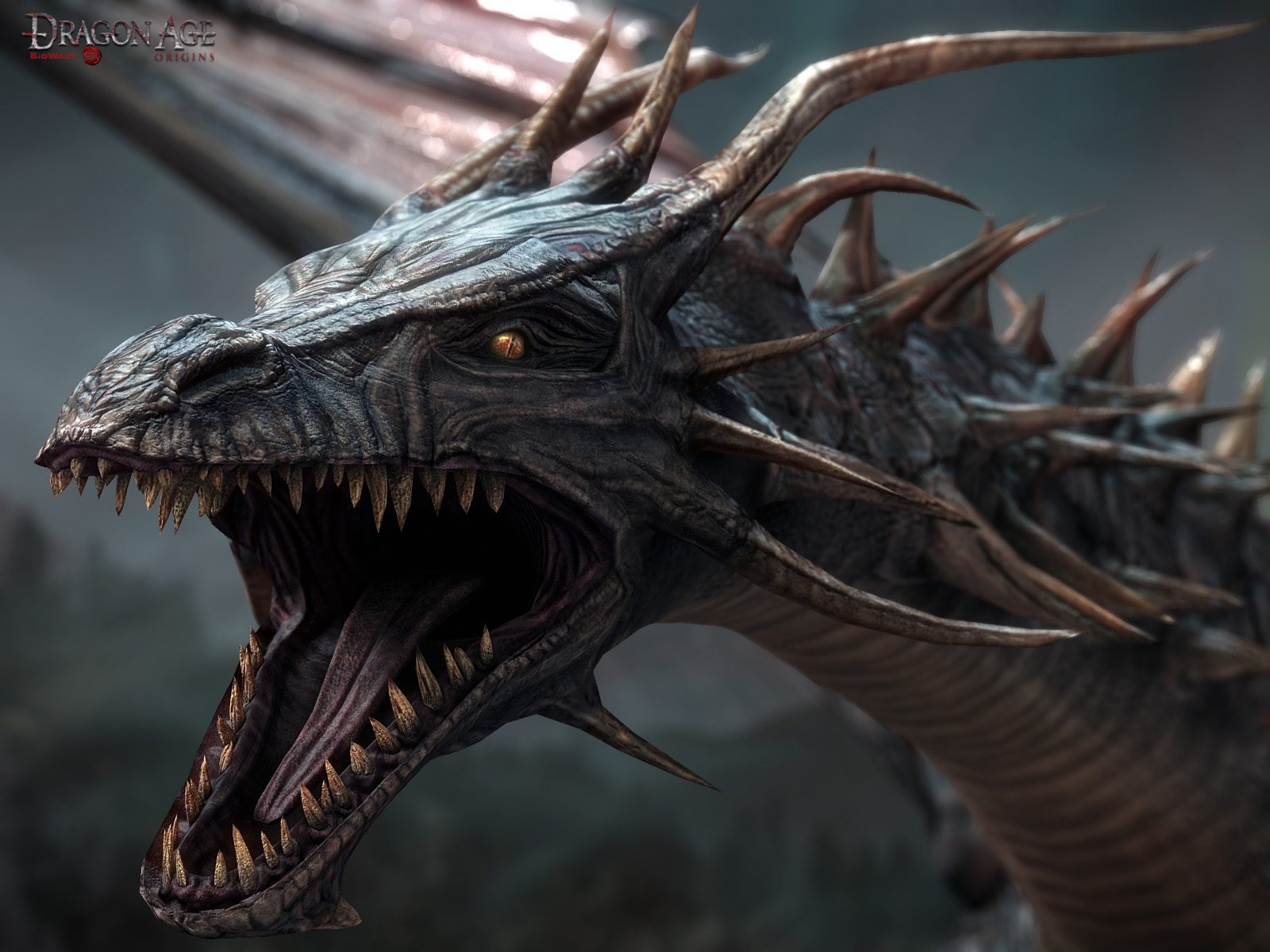Fondo De Dragon Age A Resolucion - Dragon Teeth Fantasy - HD Wallpaper 