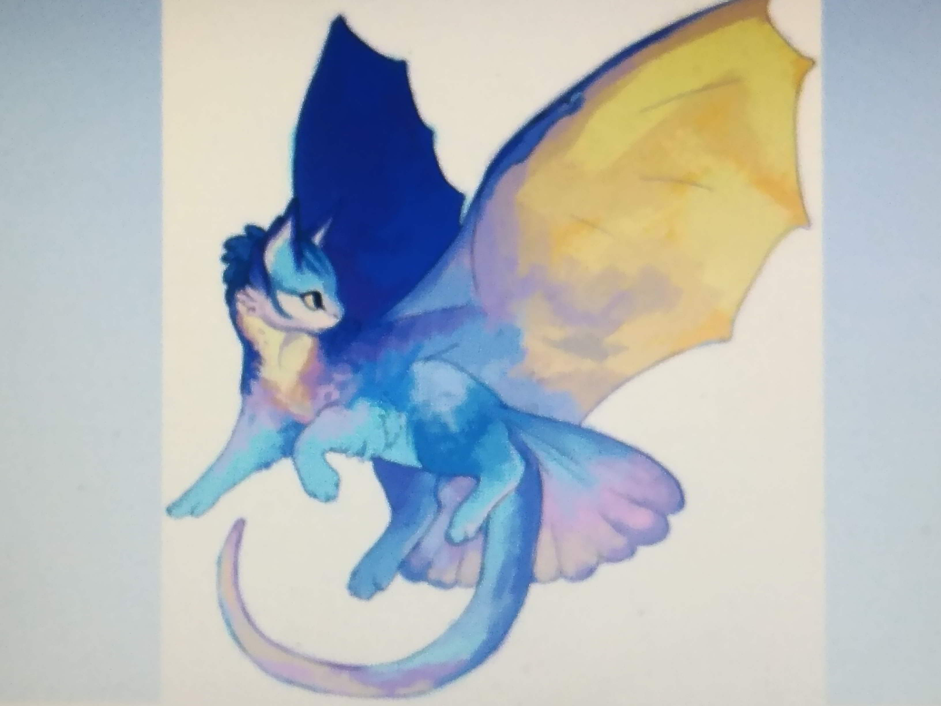 Anime Cute Blue Dragons - HD Wallpaper 