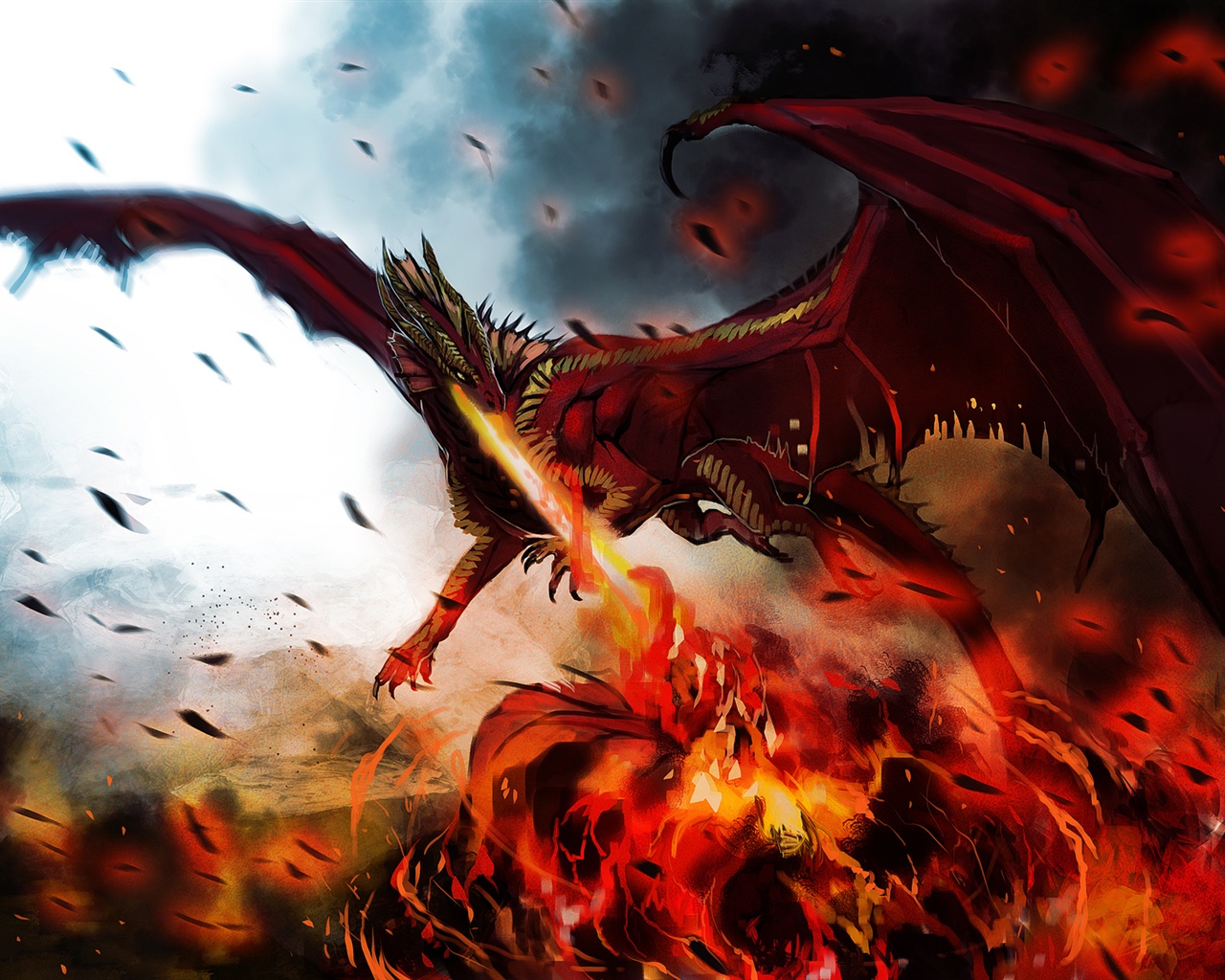 Dragon - HD Wallpaper 
