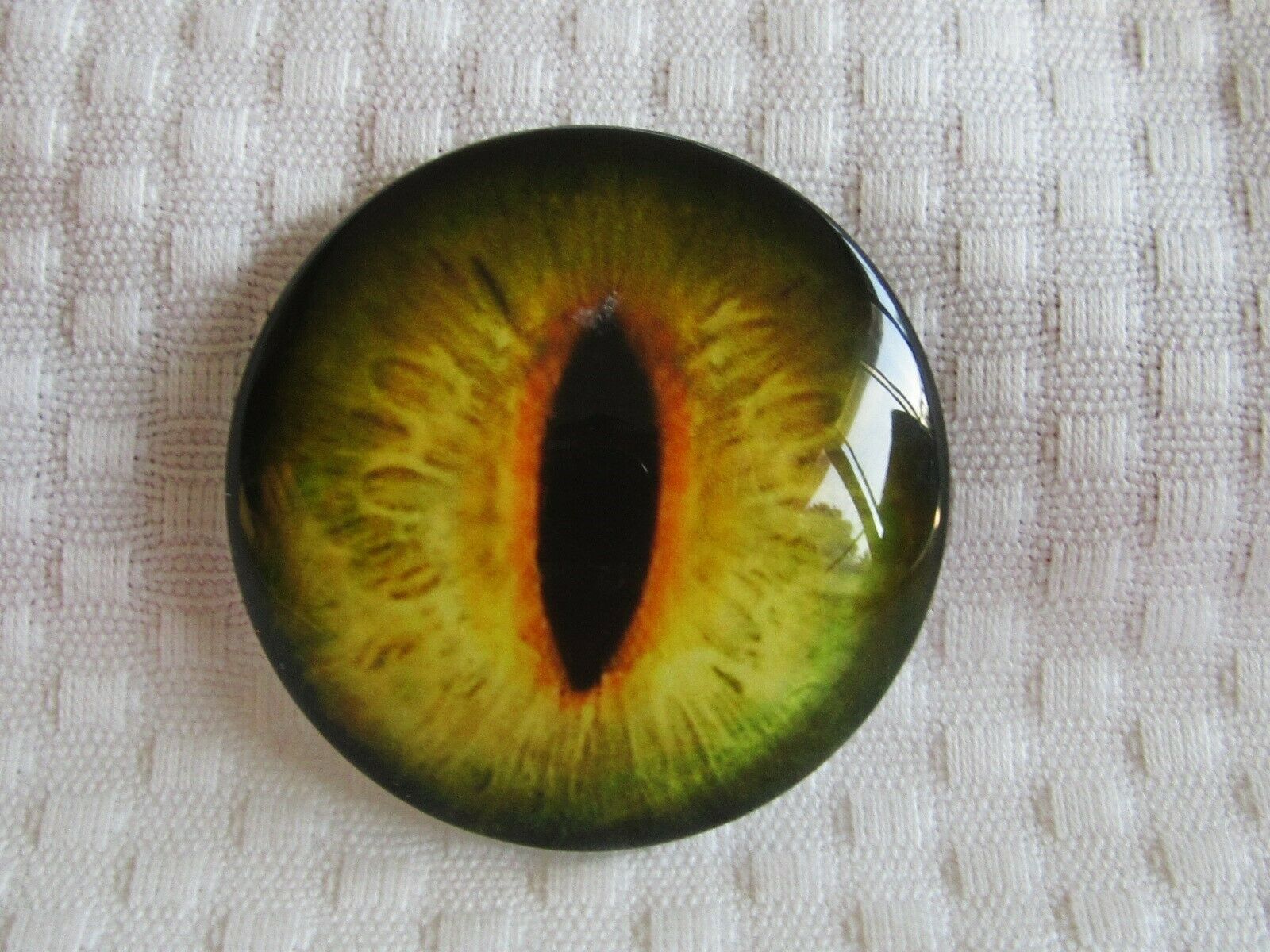 Close-up - HD Wallpaper 