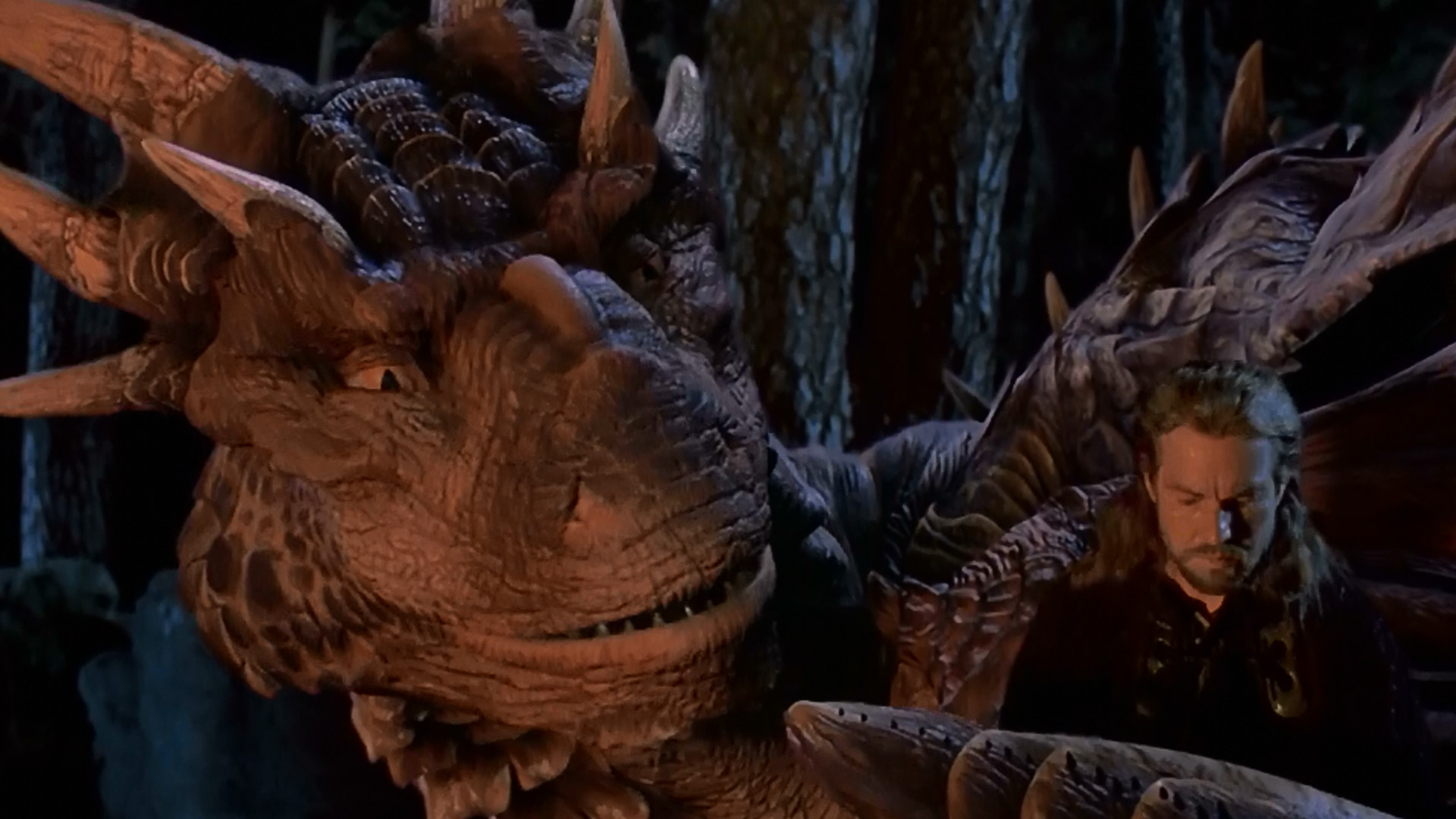Dragonheart Pics, Movie Collection - Dragonheart Draco And Bowen - HD Wallpaper 