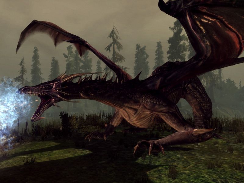 Old Pc Game With Dragon - 800x600 Wallpaper - teahub.io