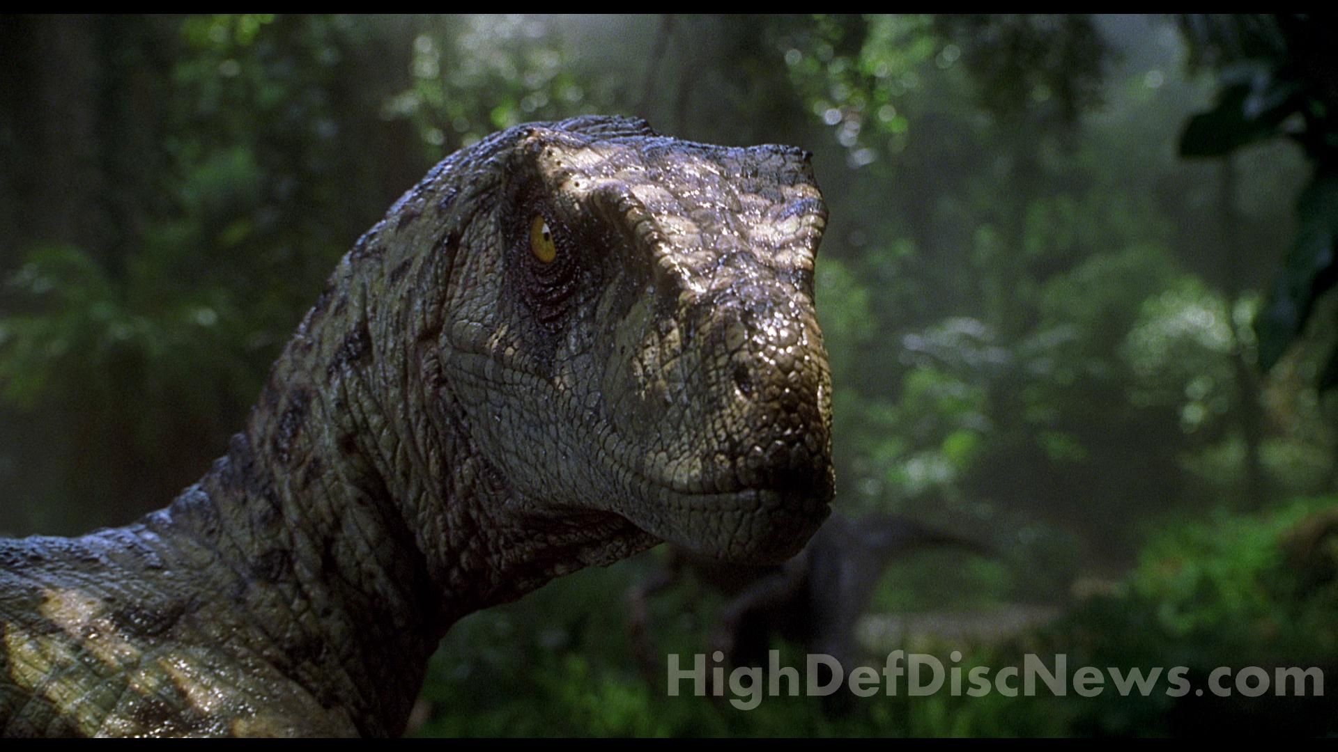 1920x1080, Jurassic Park Spinosaurus Wallpaper Best - Velociraptor Jurassic Park 3 Alpha - HD Wallpaper 
