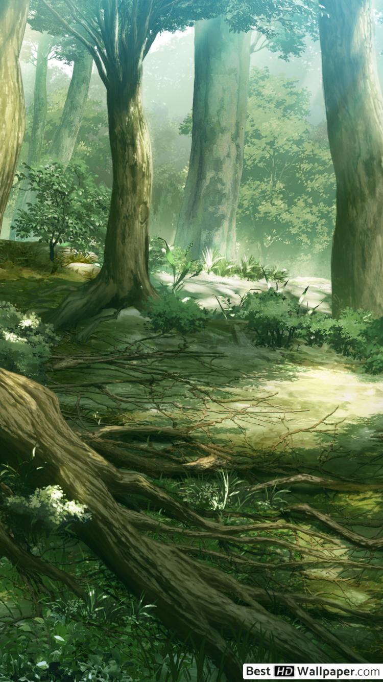 Anime Fantasy Forest - HD Wallpaper 