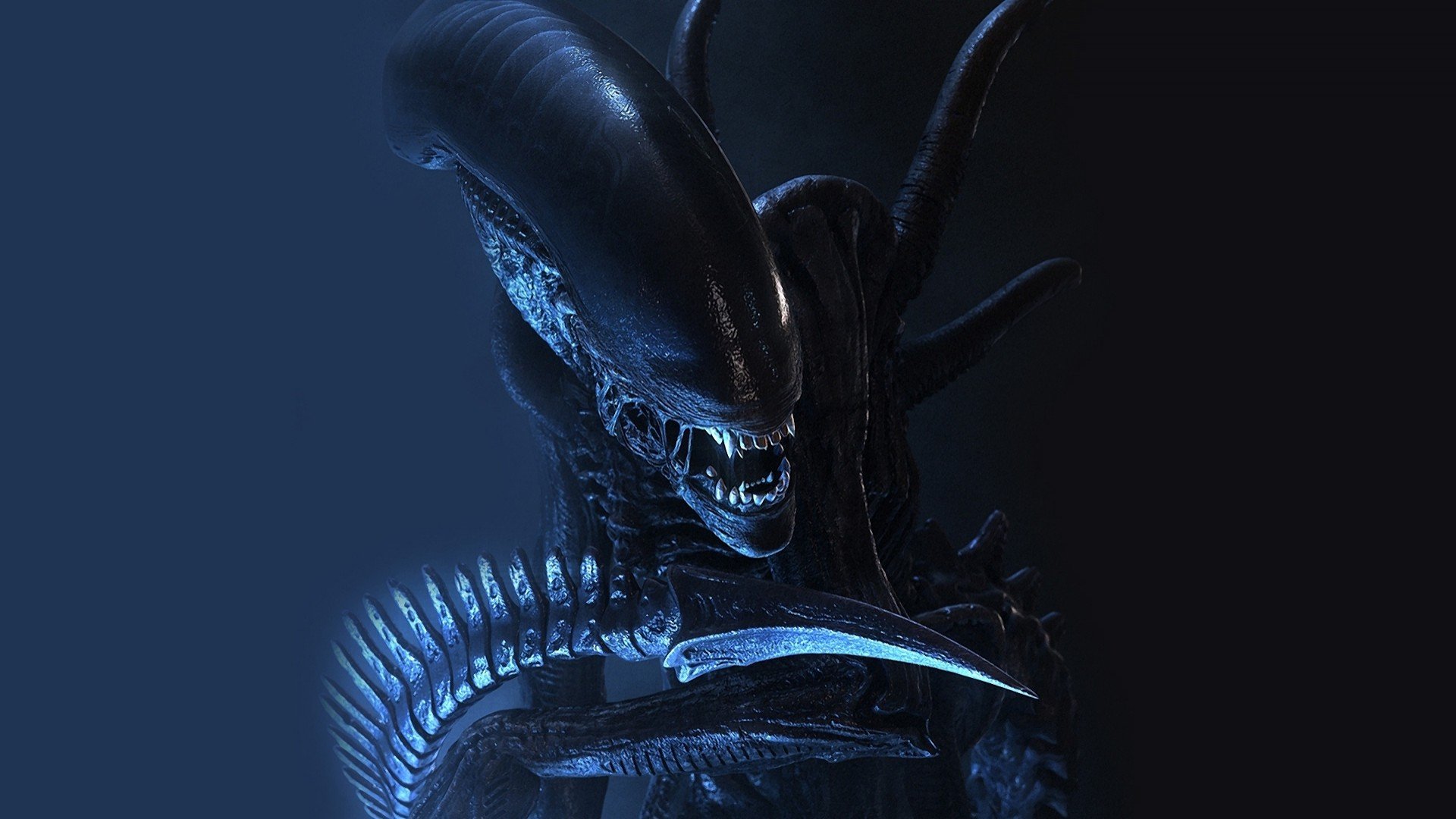 Alien Xenomorph - HD Wallpaper 