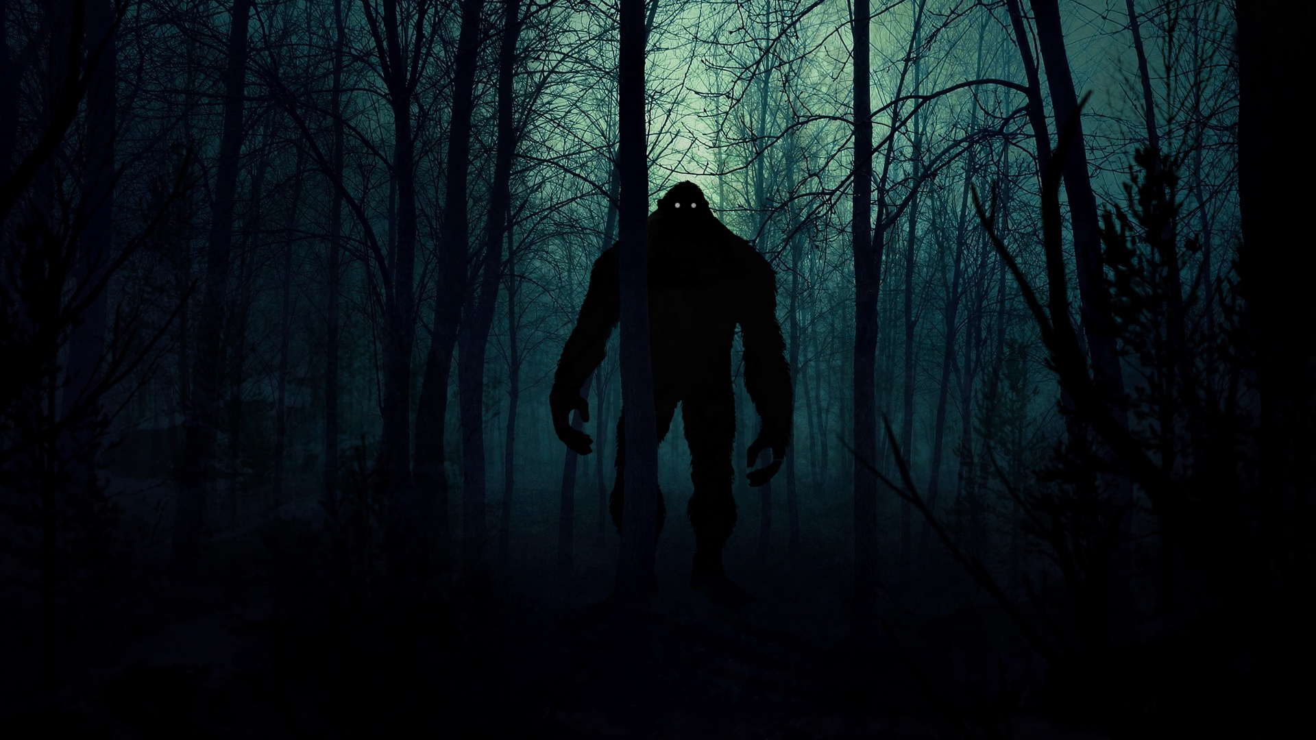 Wallpaper Monster, Silhouette, Forest, Night, Art - Shadow Of A Monster In A Forest - HD Wallpaper 