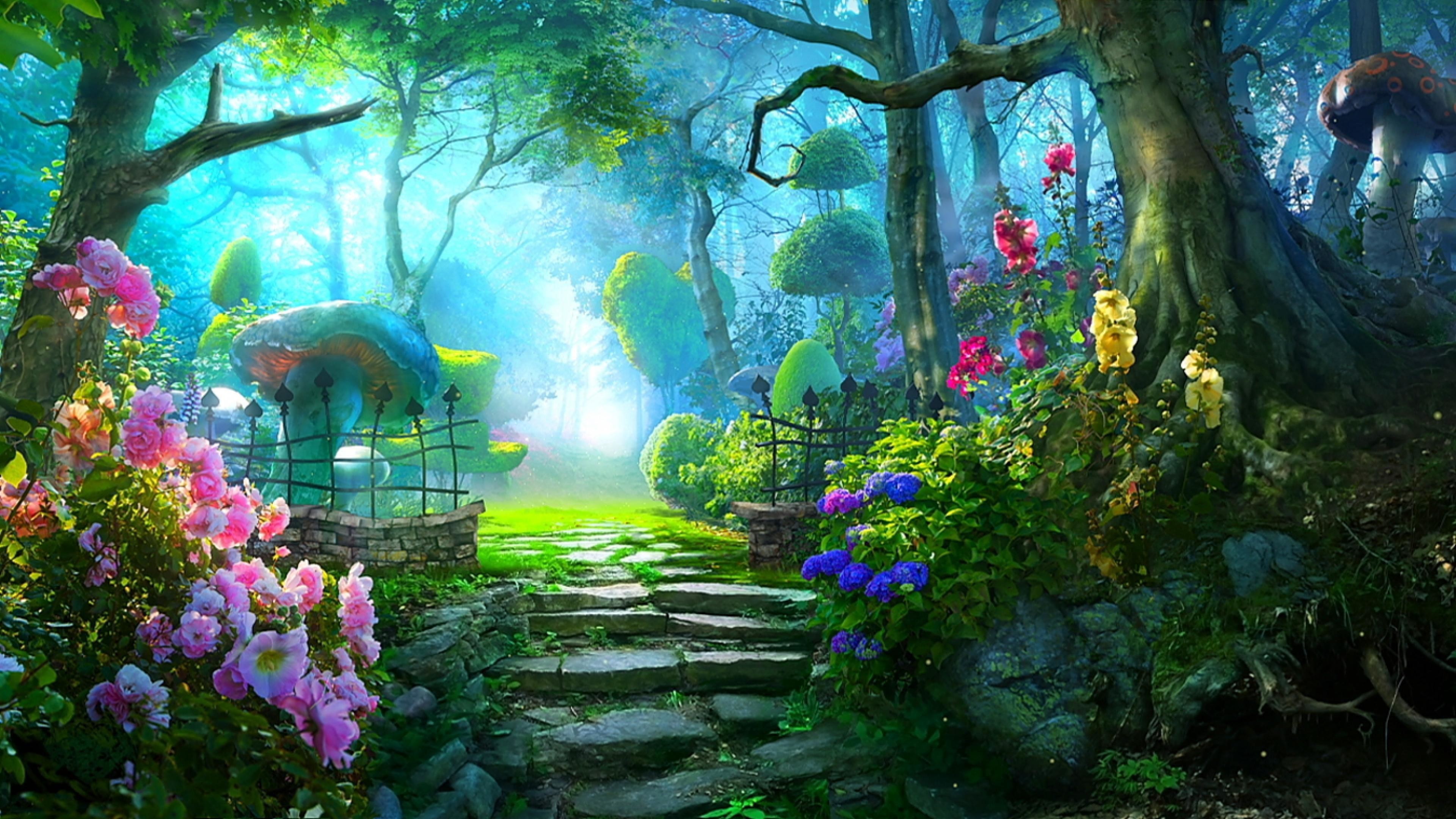 High Resolution Enchanted Forest - HD Wallpaper 
