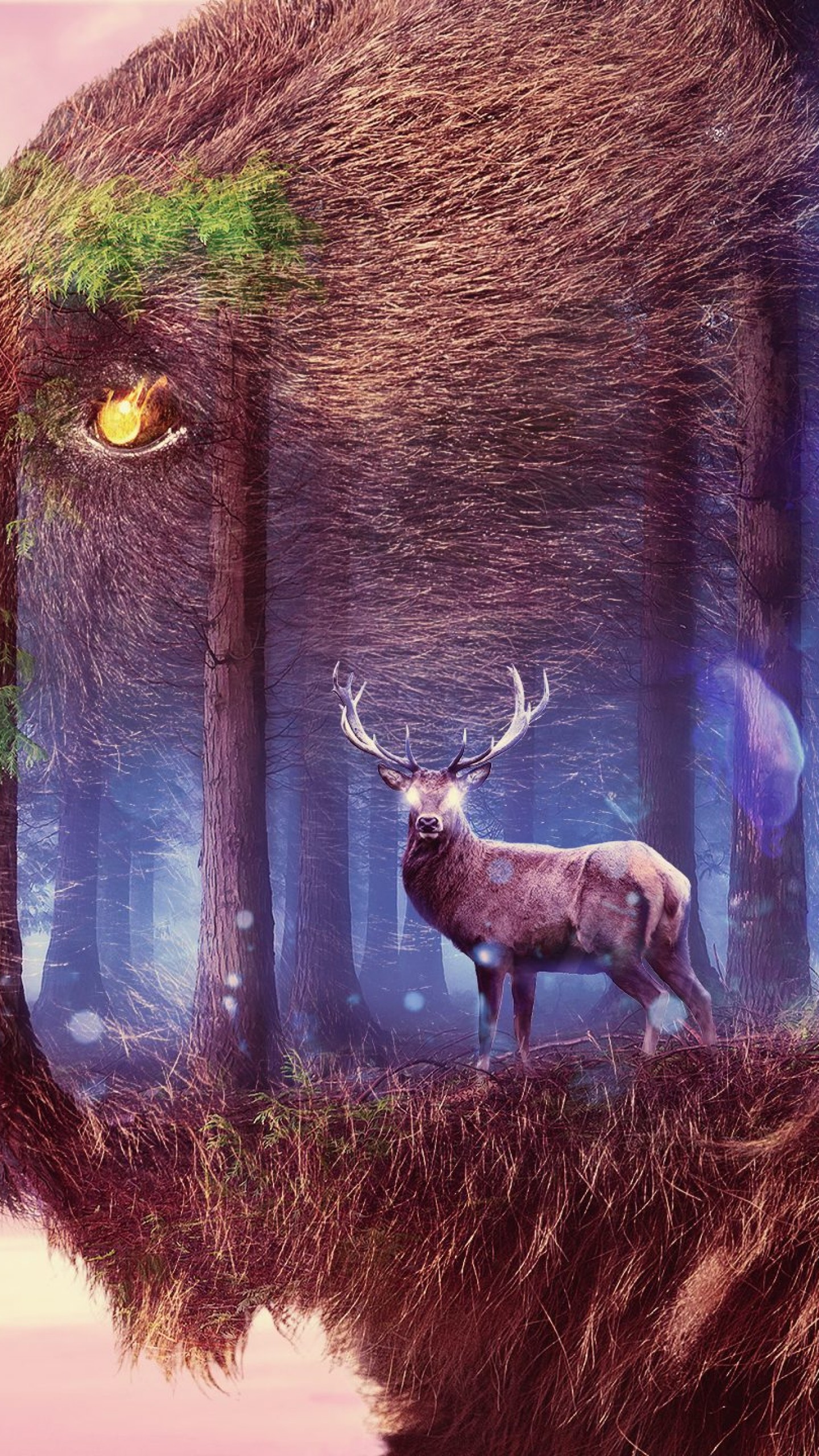 Fantasy Forest Wallpaper - HD Wallpaper 