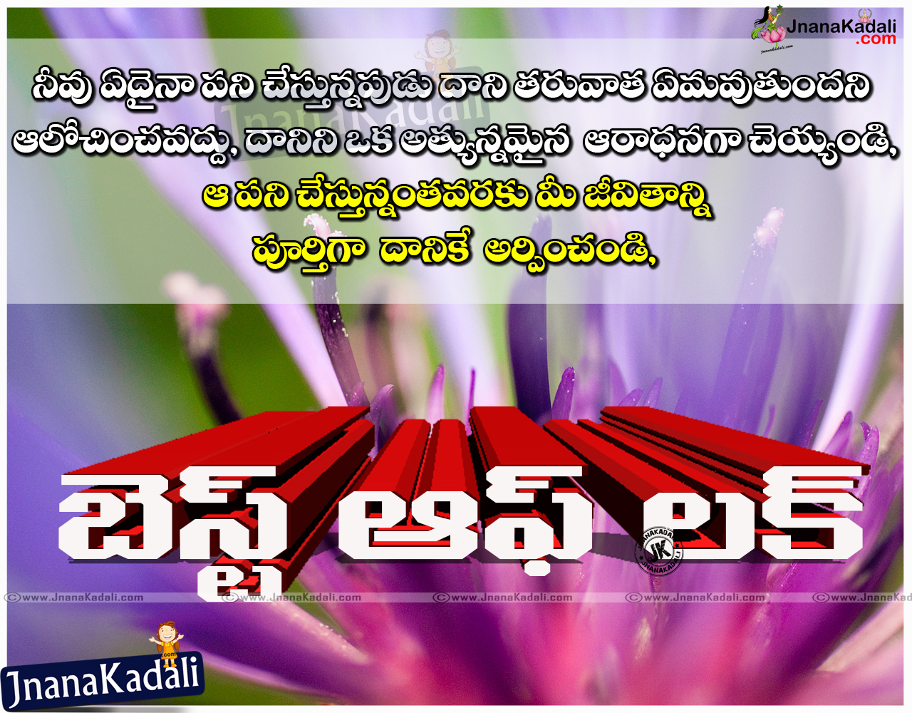 Here is wish you all the best messages quotes images 1280x1000 
