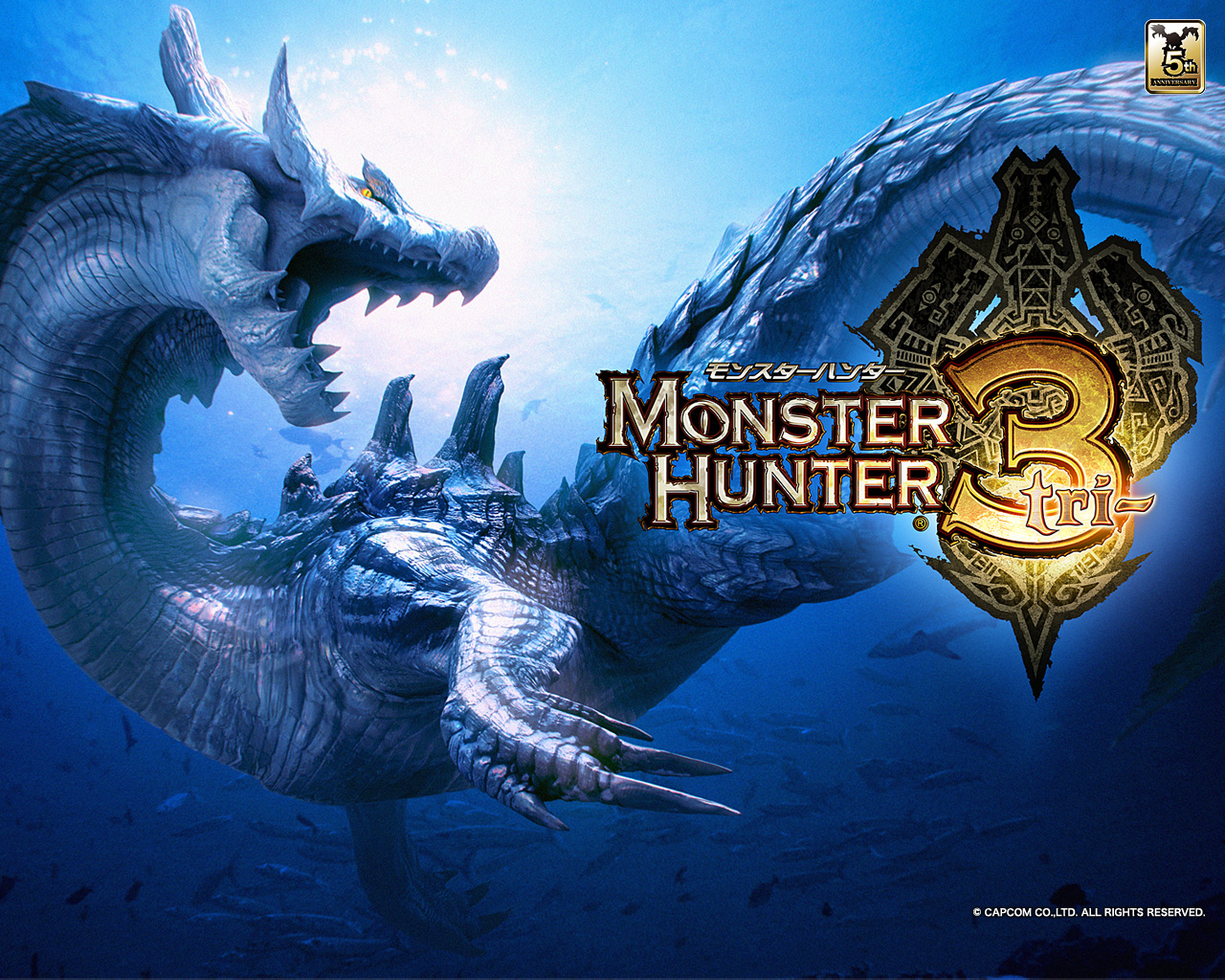Monster Hunter Tri - HD Wallpaper 