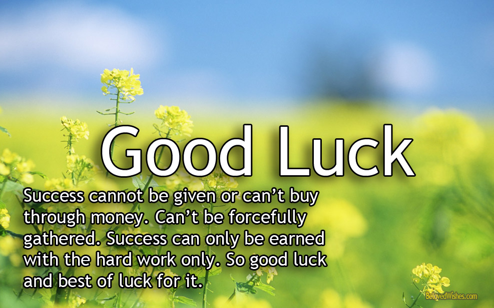 Good Luck Quotes & Sayings Images Wallpapers - Hard Working Success - HD Wallpaper 