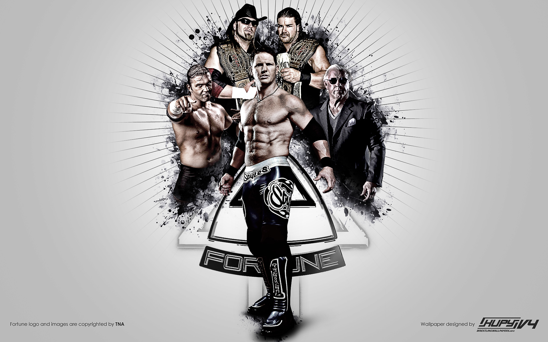 Tna Fortune - HD Wallpaper 
