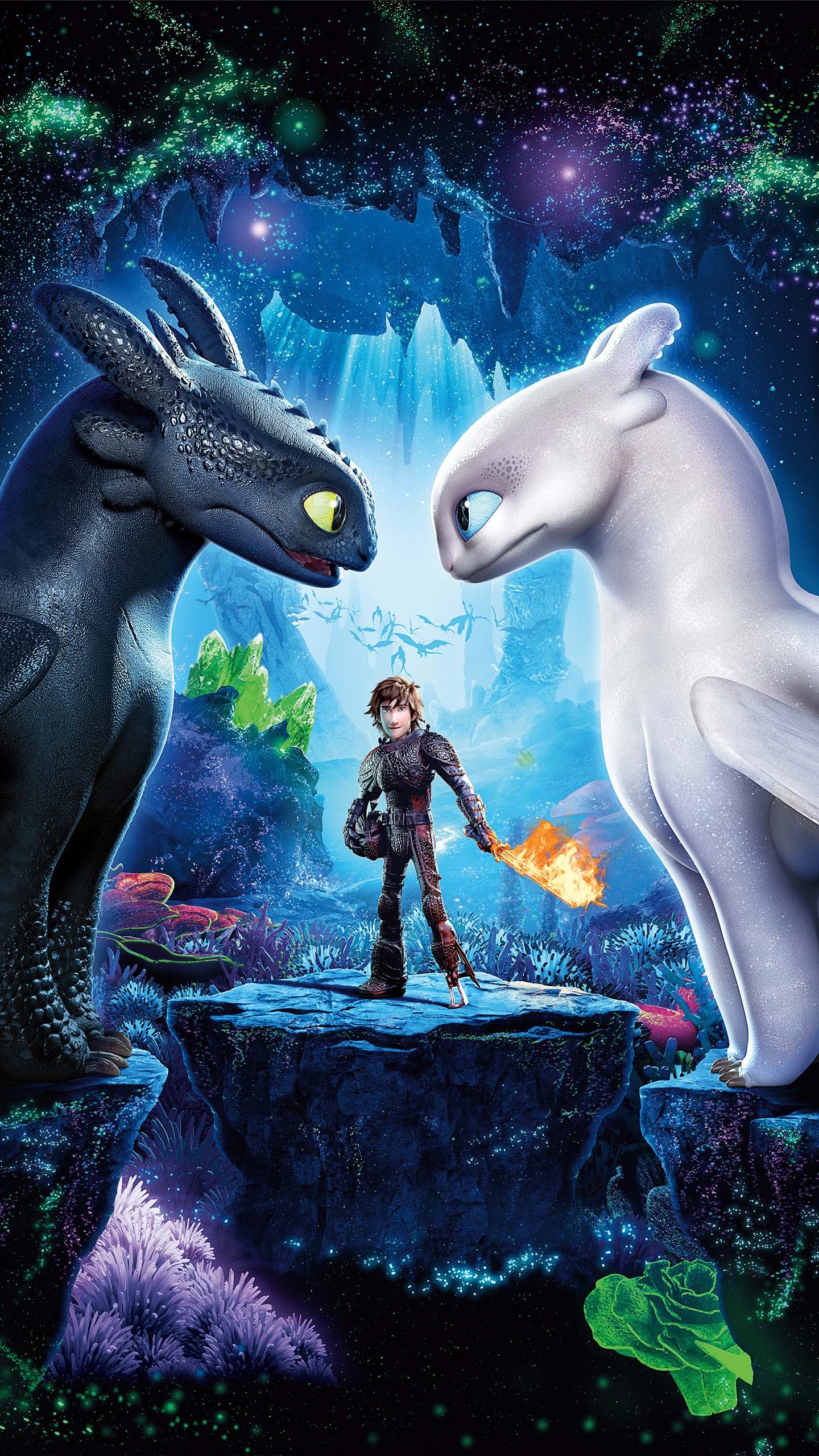 Train Your Dragon Wallpaper Phone - HD Wallpaper 