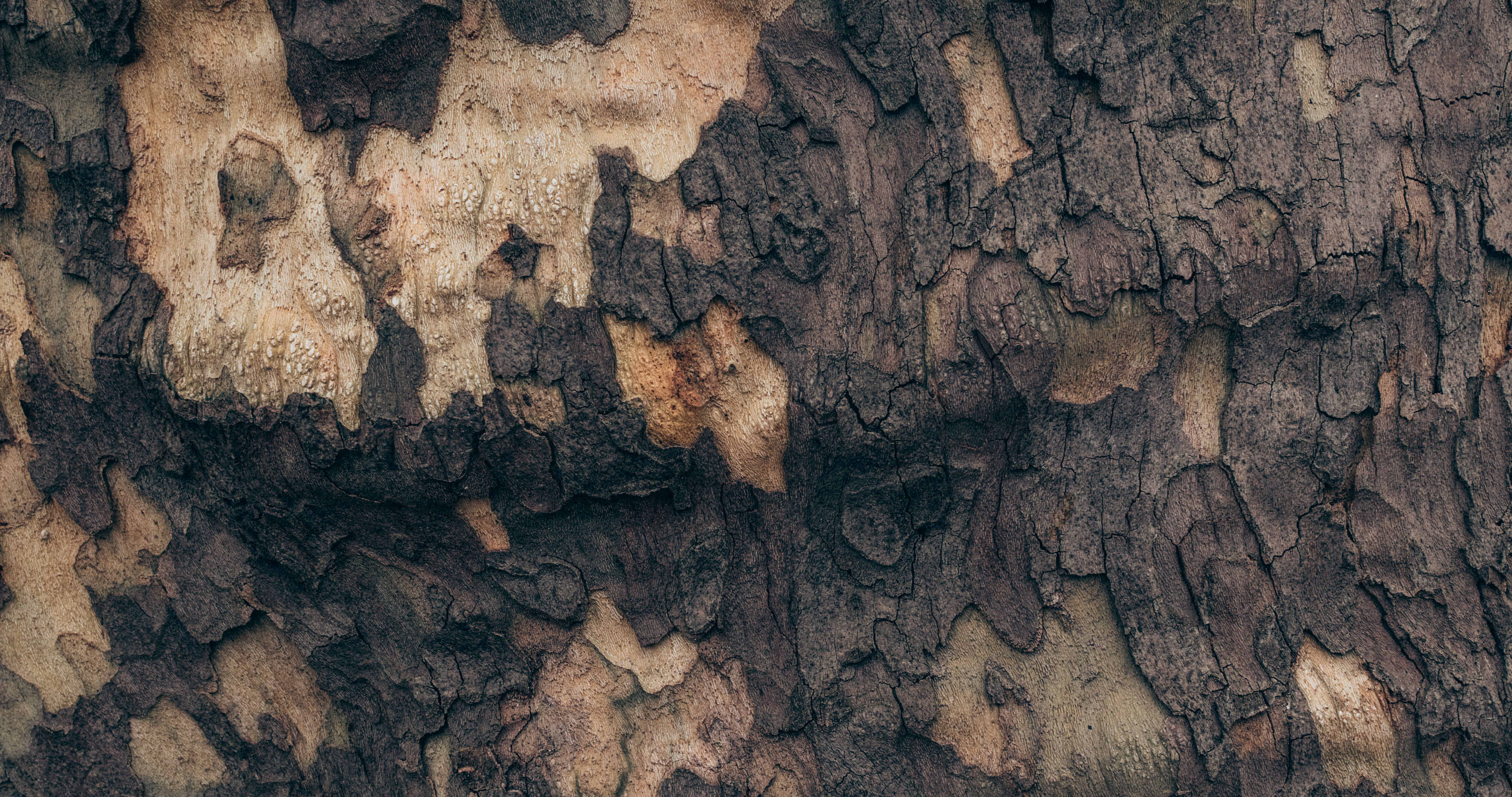 Old Wallpaper Texture - HD Wallpaper 