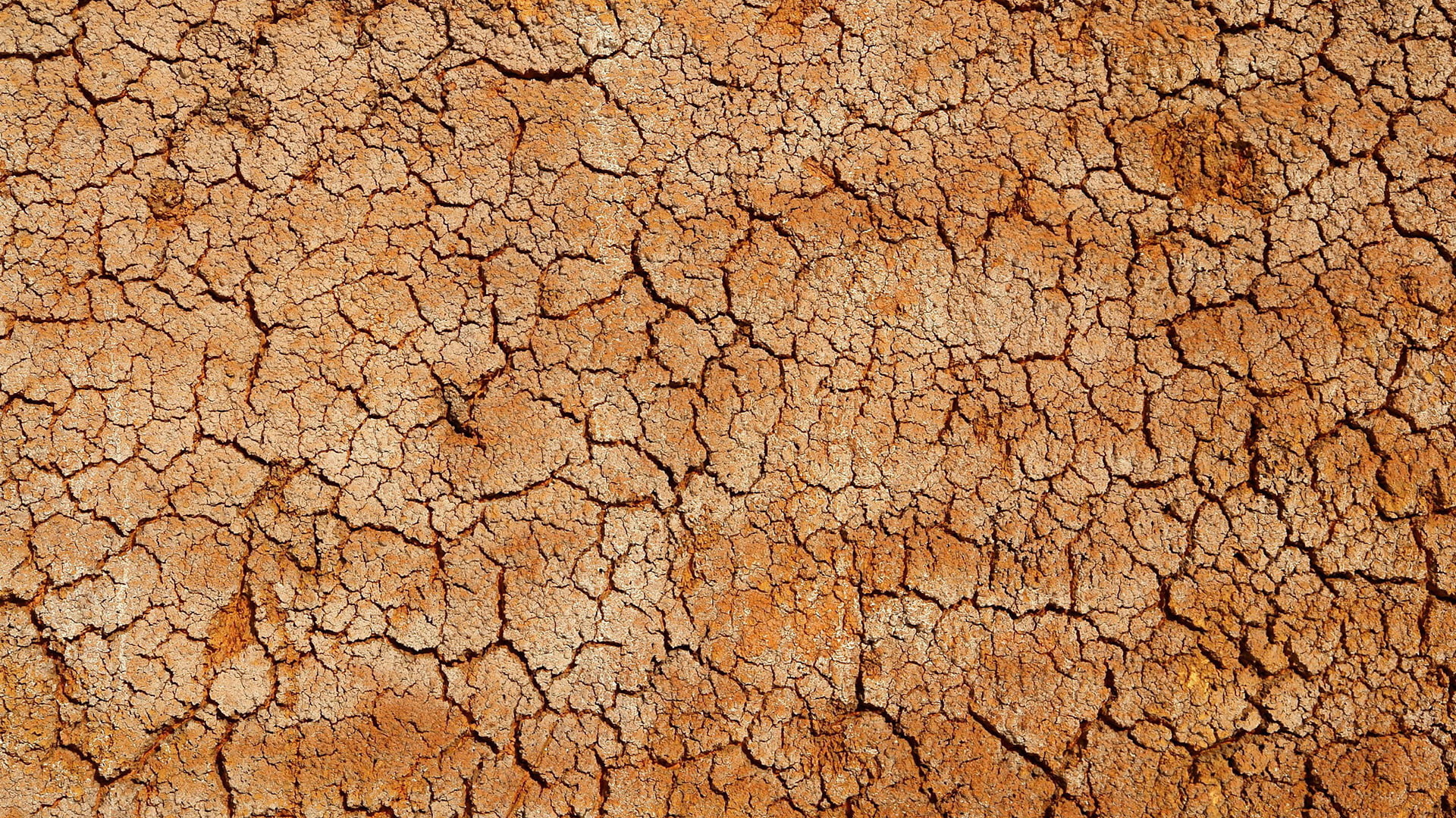 Old Wallpaper Texture - HD Wallpaper 
