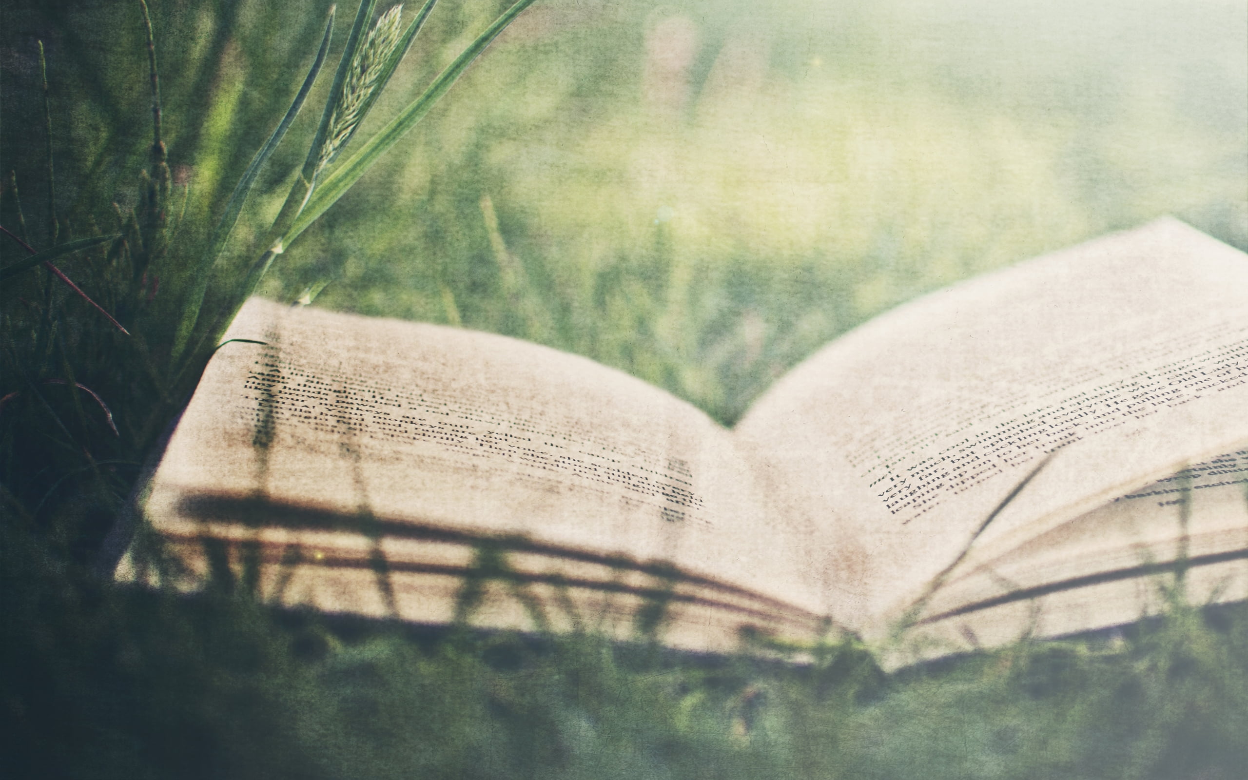 Grass Paper Wallpaper - HD Wallpaper 