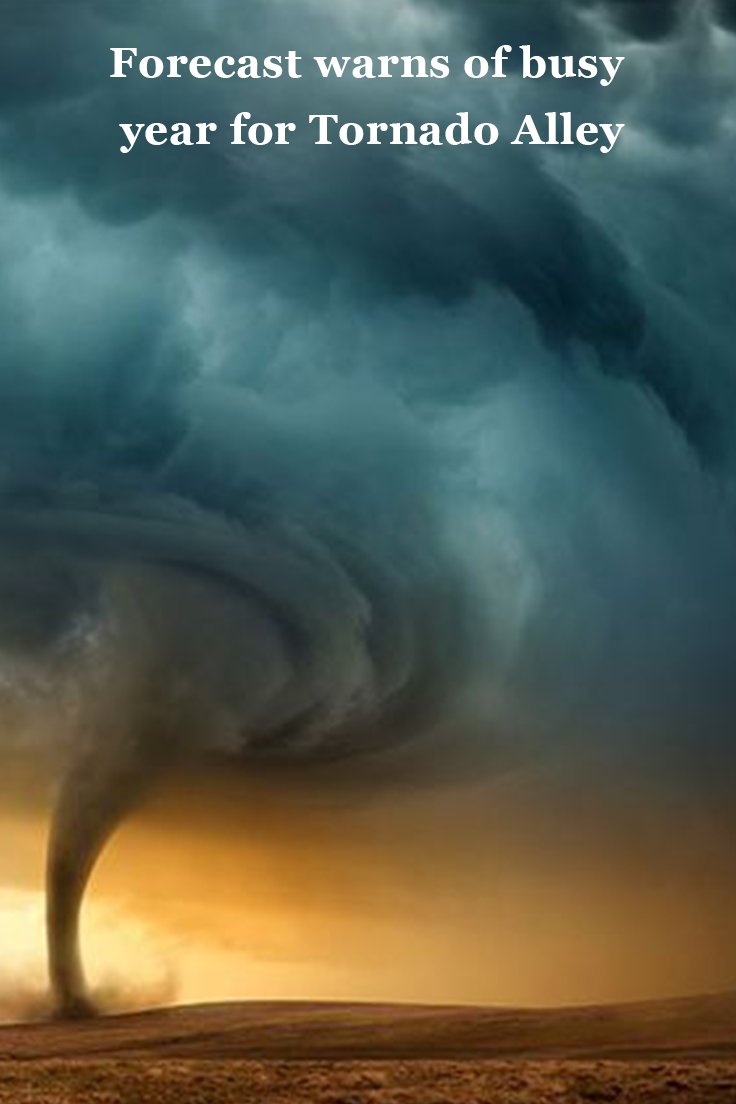 Poster - HD Wallpaper 