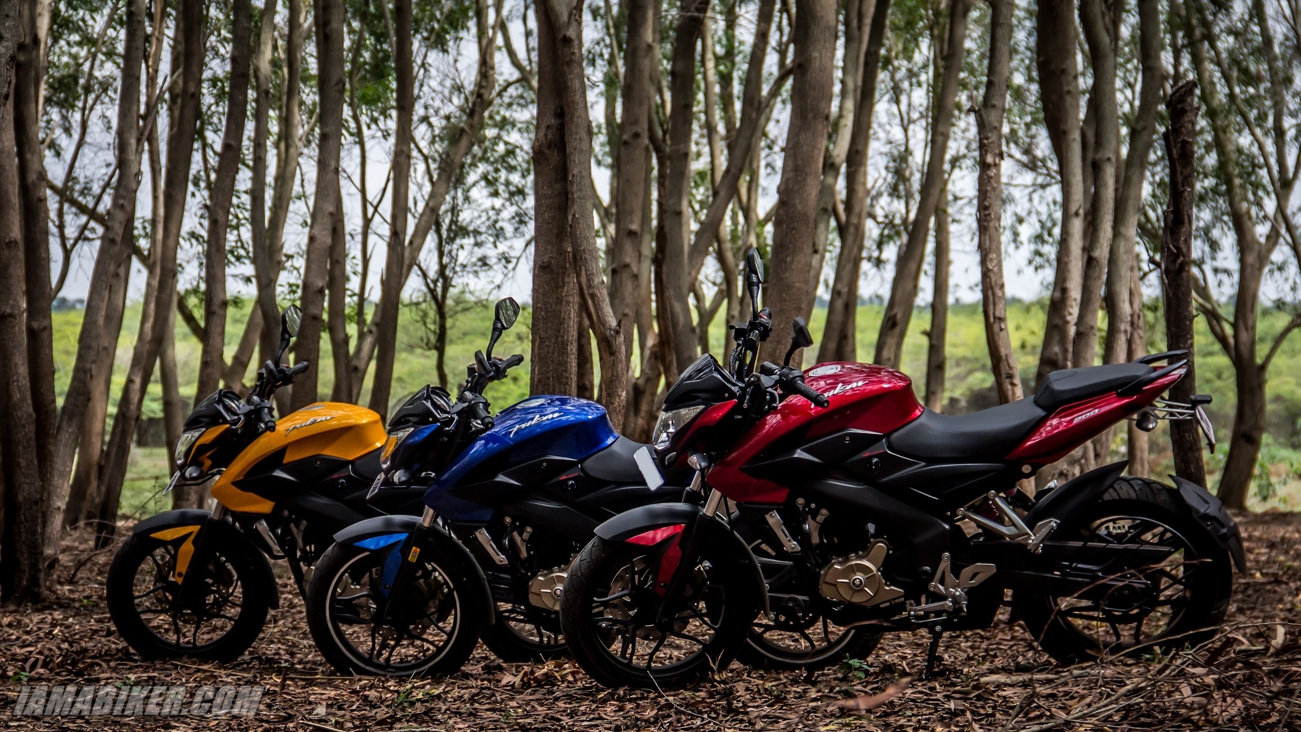 Hd Photos Of Pulsar 200 Ns - HD Wallpaper 