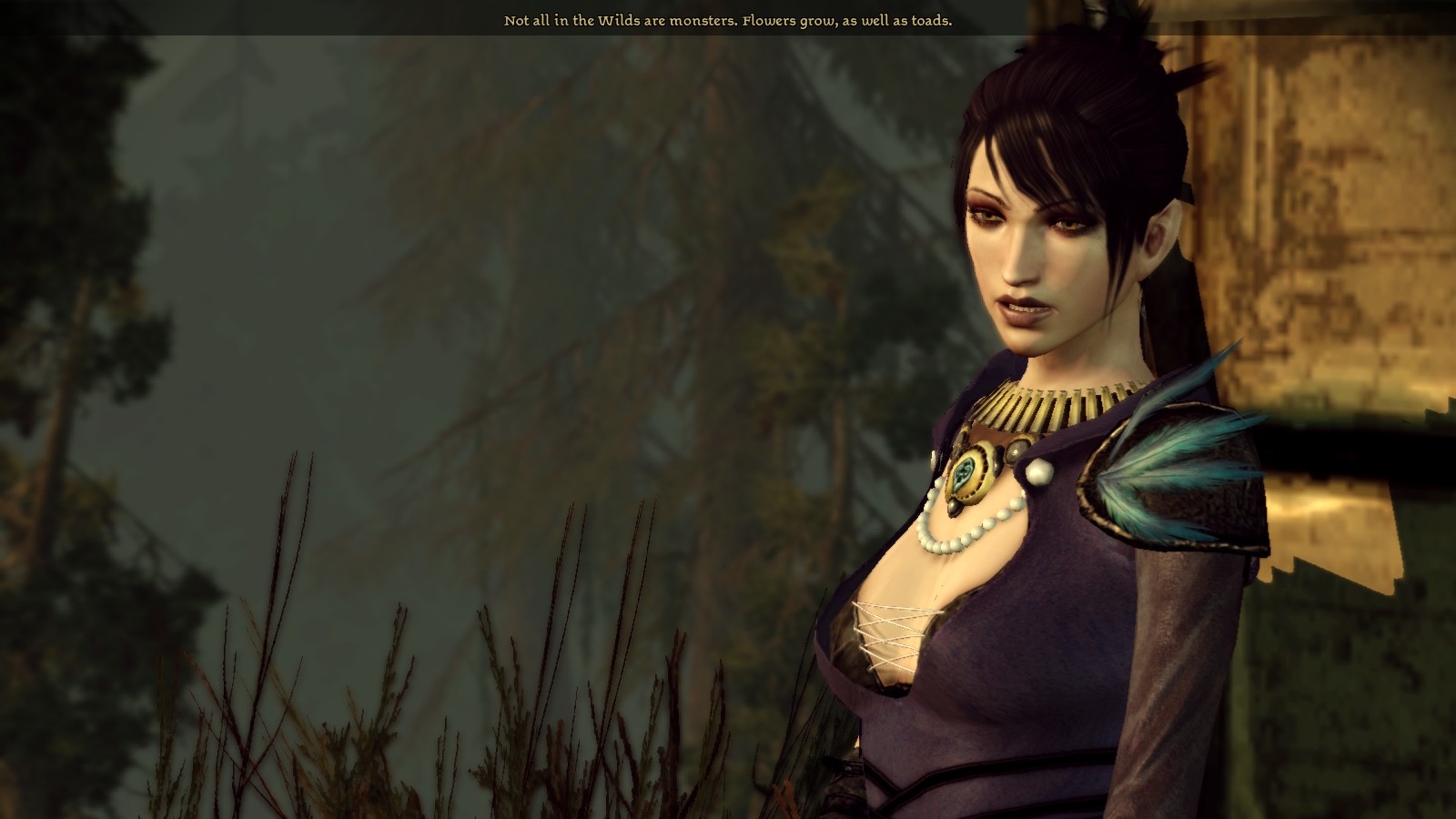 Requires Dracomies Dragon Age Redesigned Morrigan Lady - HD Wallpaper 