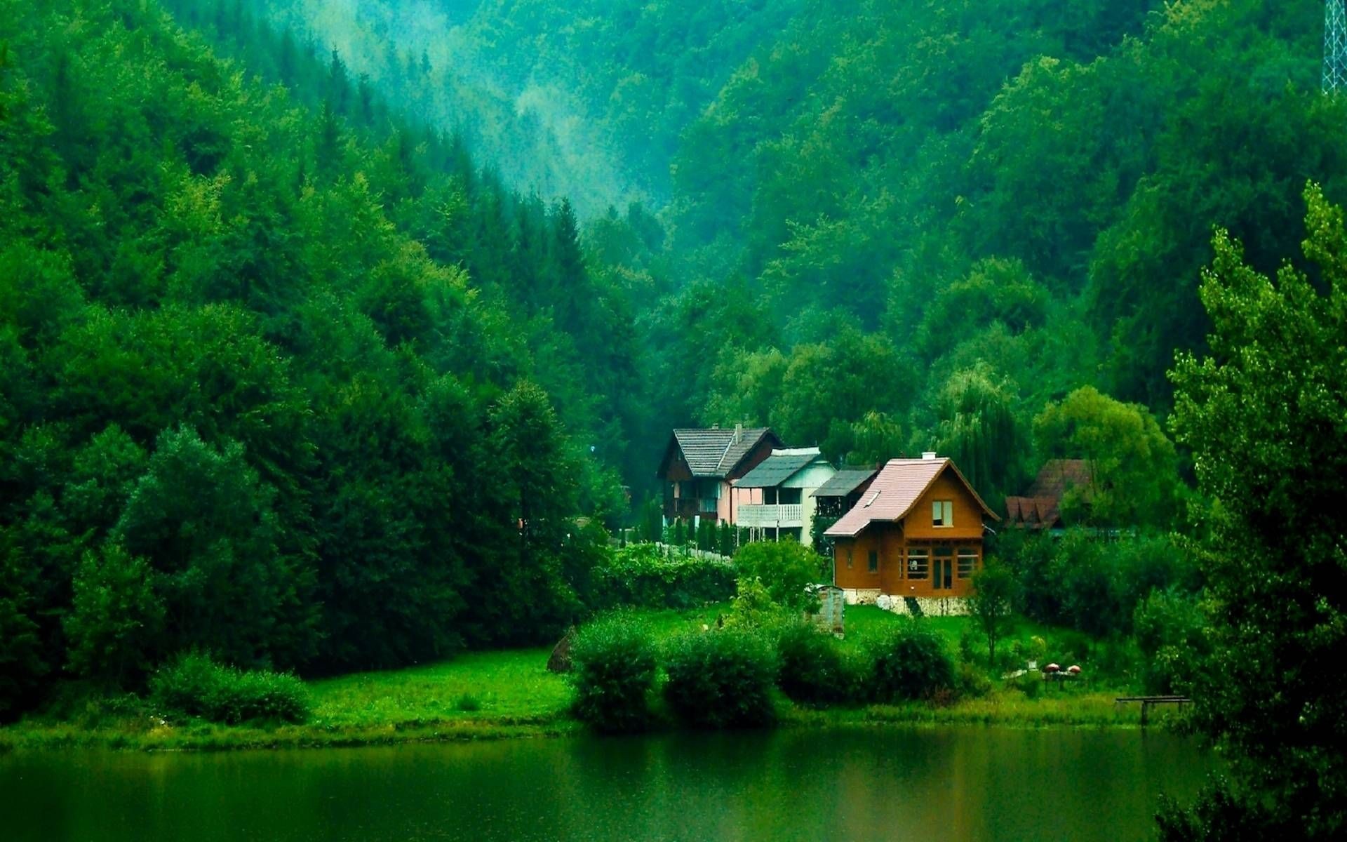 Nature Wallpapers 
 Data-src /w/full/8/0/e/342765 - House In Green Forest - HD Wallpaper 