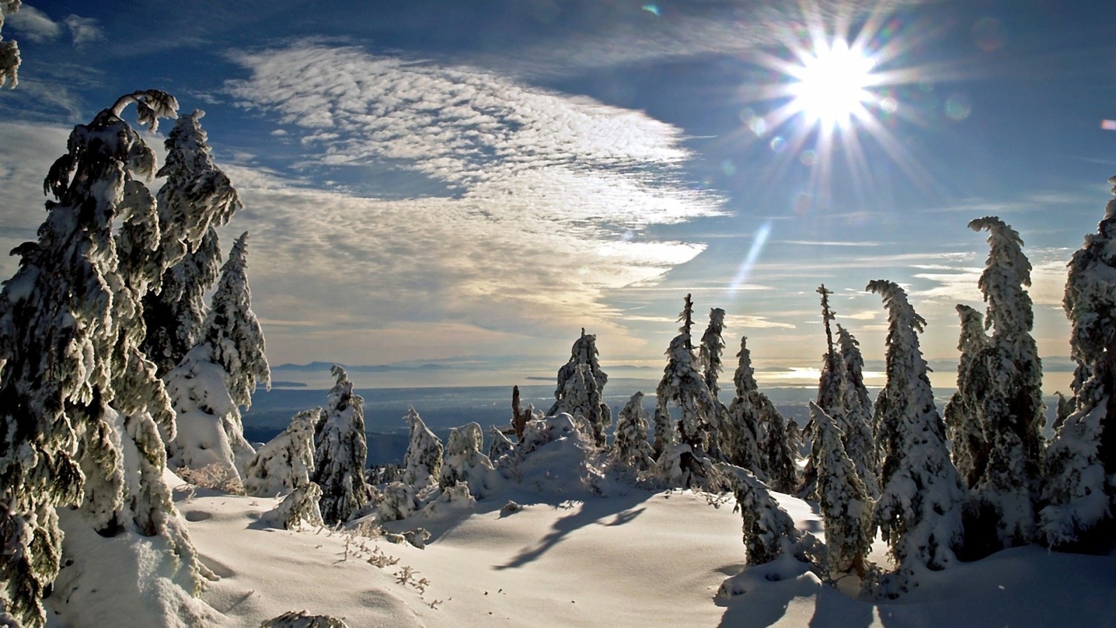 Winter Sun - Winter Fullhd - HD Wallpaper 