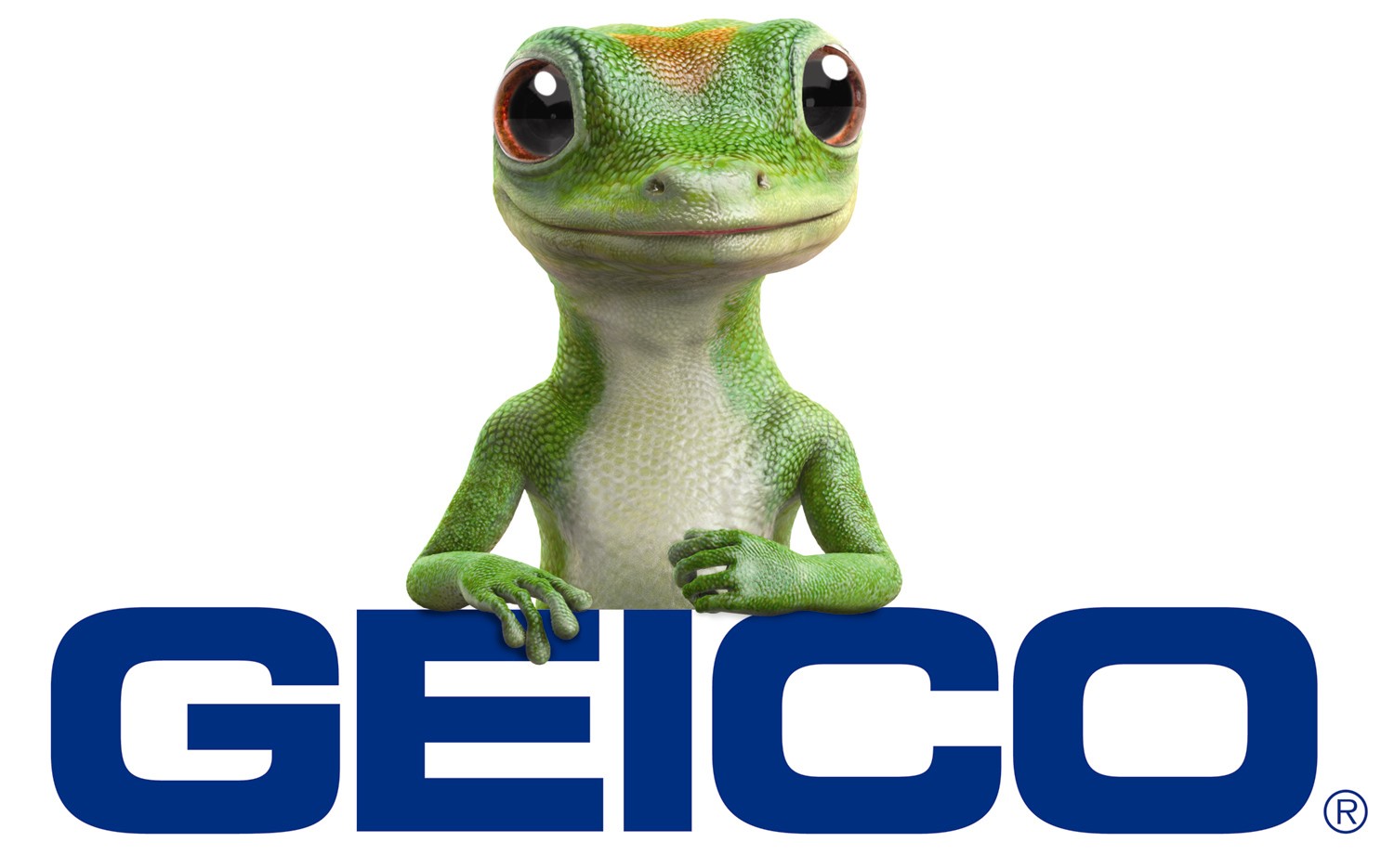 Geico Insurance - HD Wallpaper 