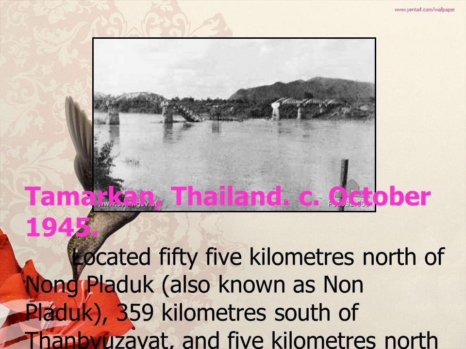 Come Fly With Me - HD Wallpaper 